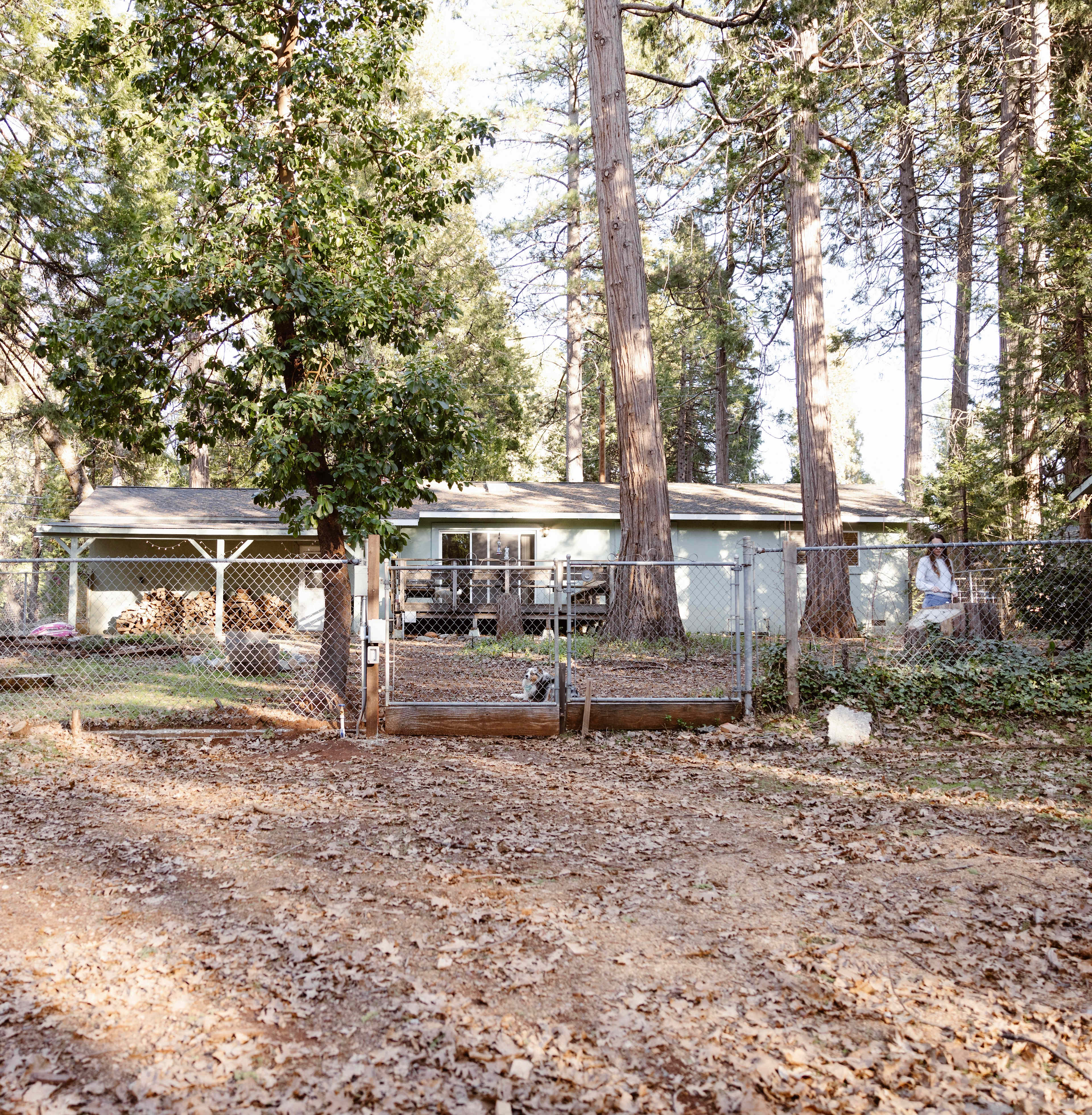 Banner Mountain Camp