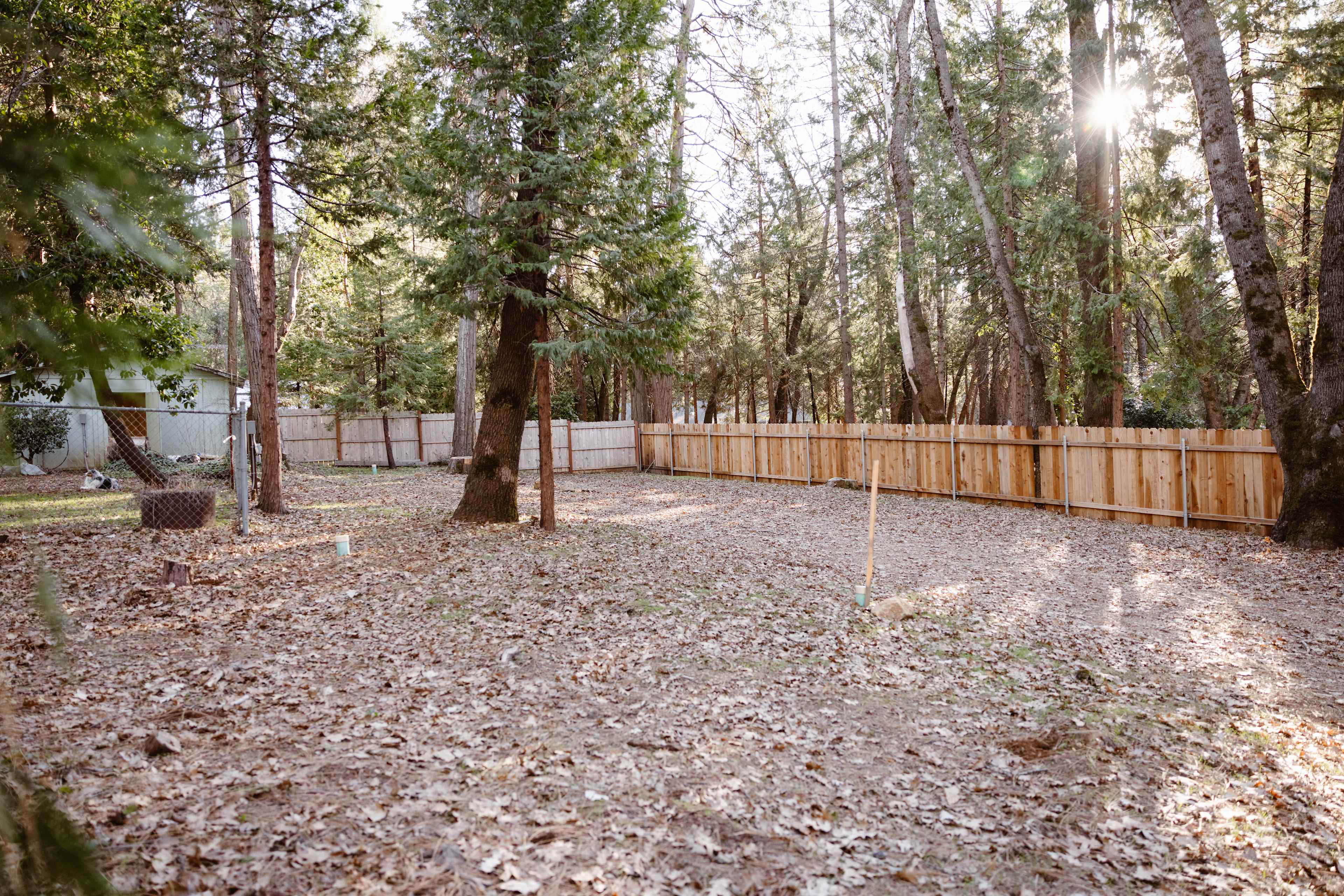 Banner Mountain Camp