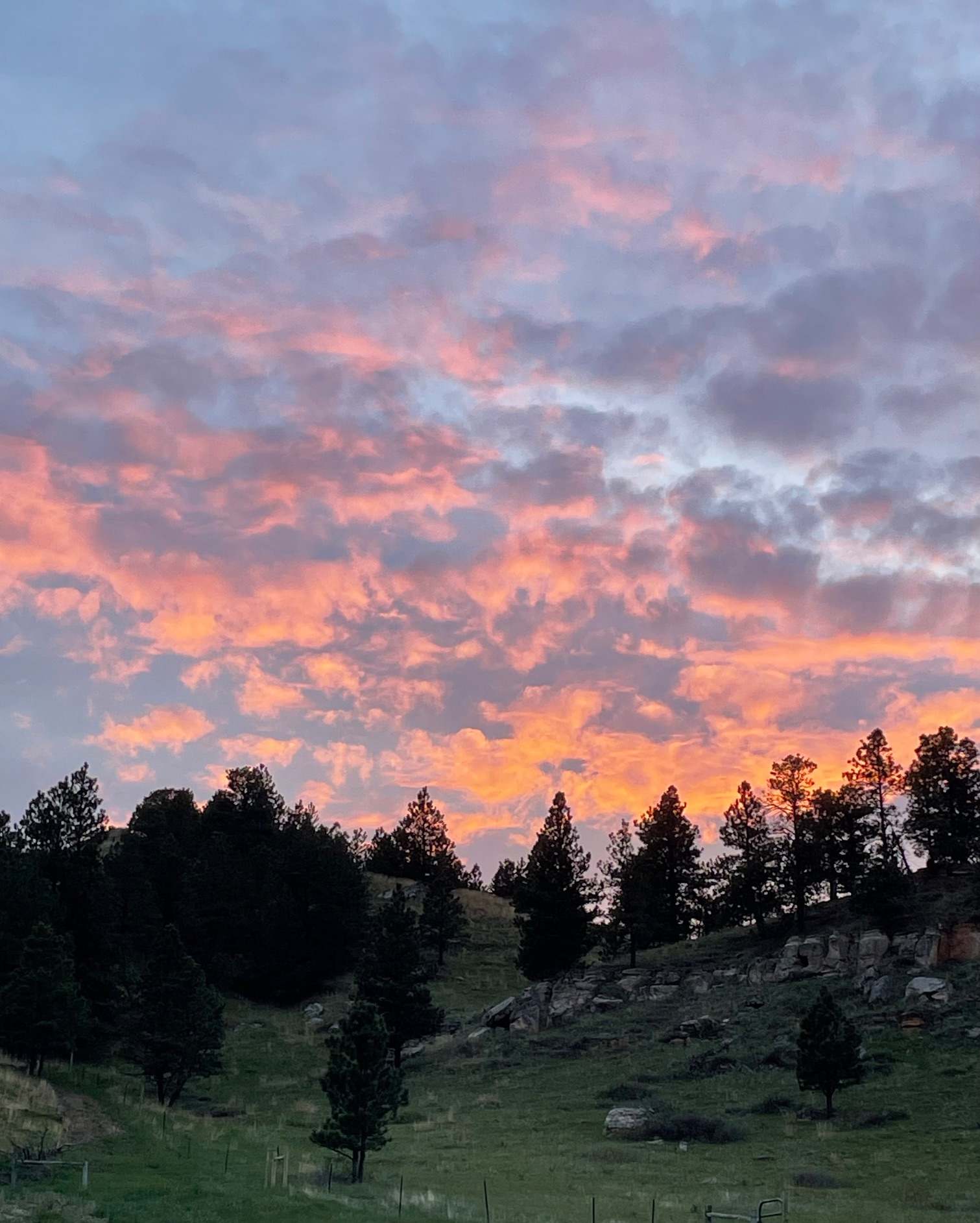 Whispering Pines WildWest Adventure