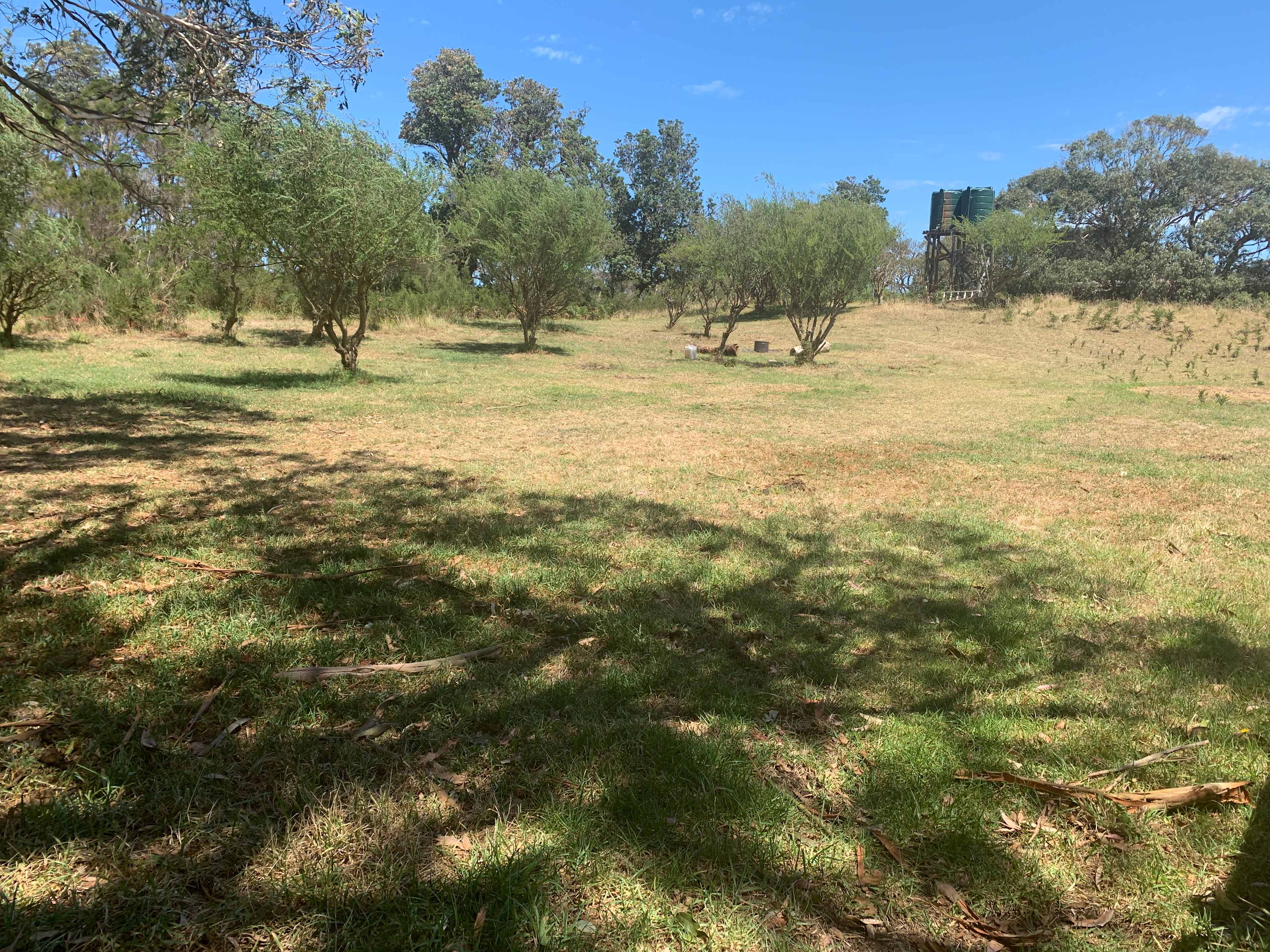 Sandy Point Farm Camp