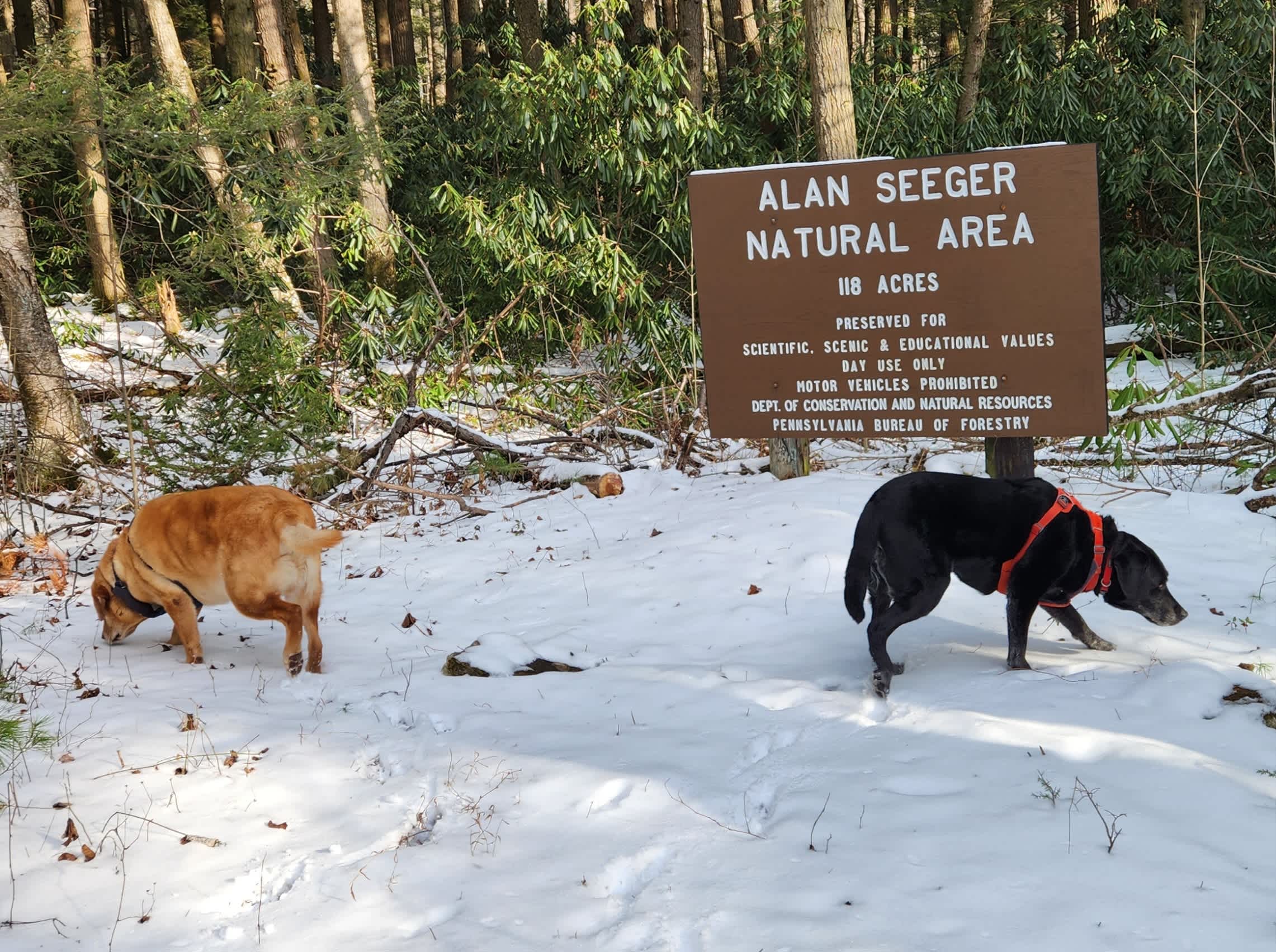 Seven Mountains Campground