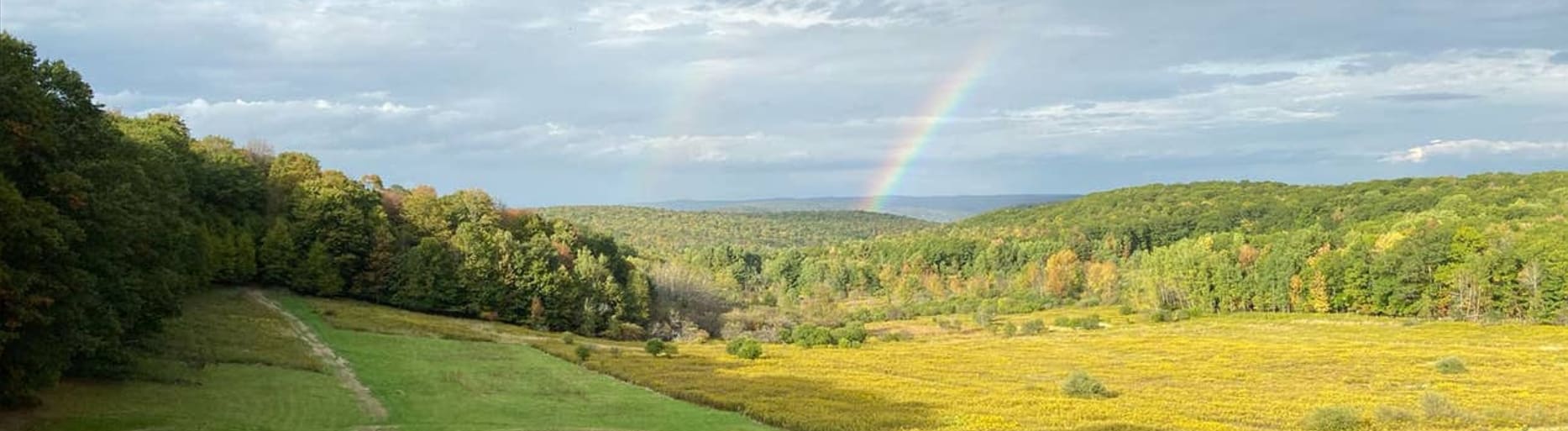 Tranquility Trails & Cabins