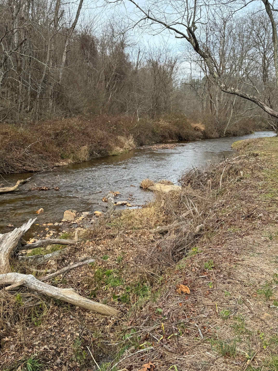 Creekside campsites