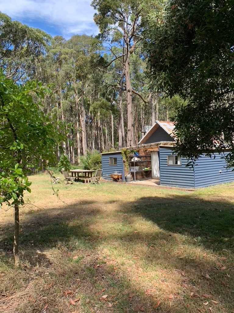 The Forest Cottage- Trentham