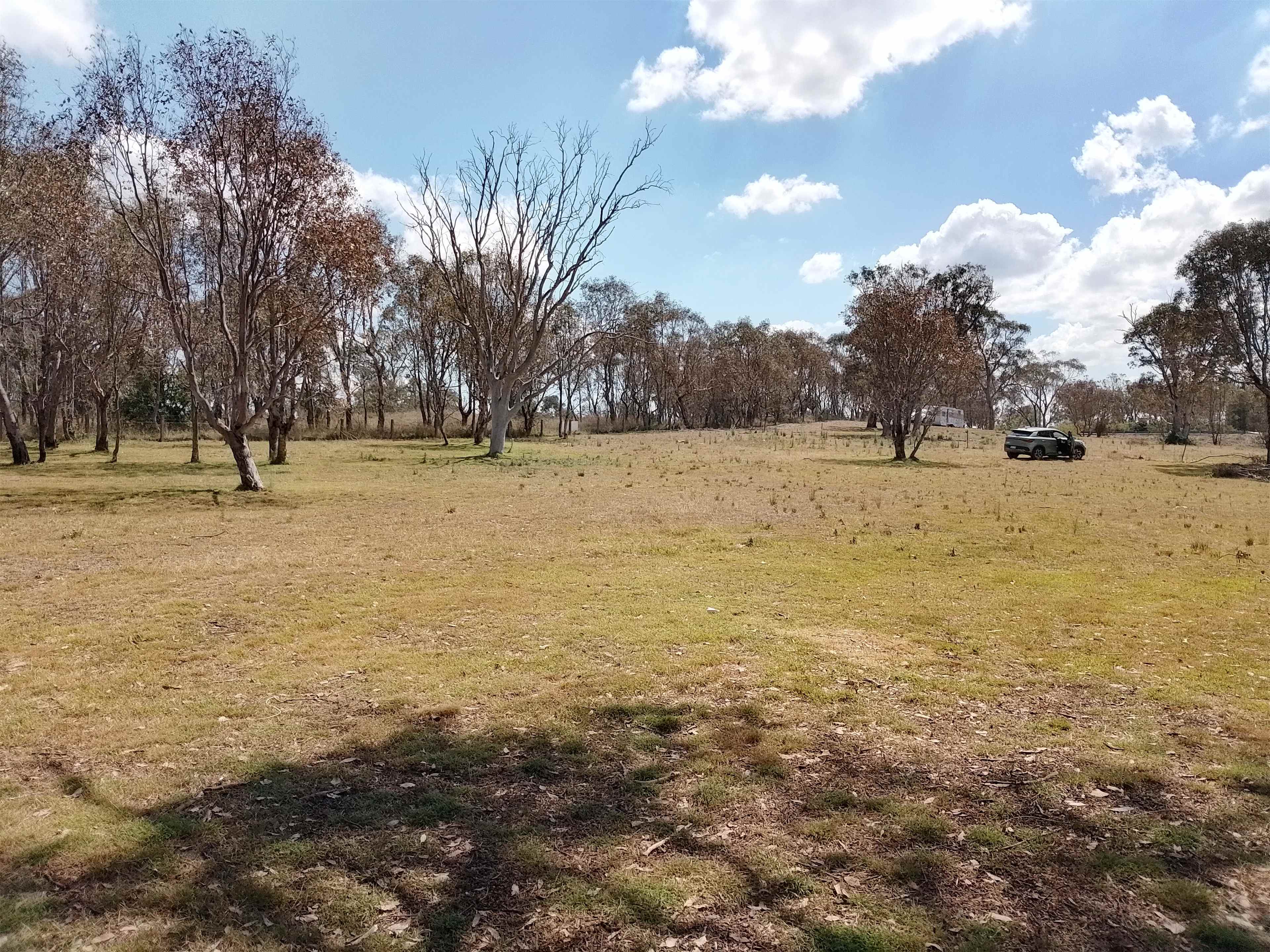 Shah Farm near Yass