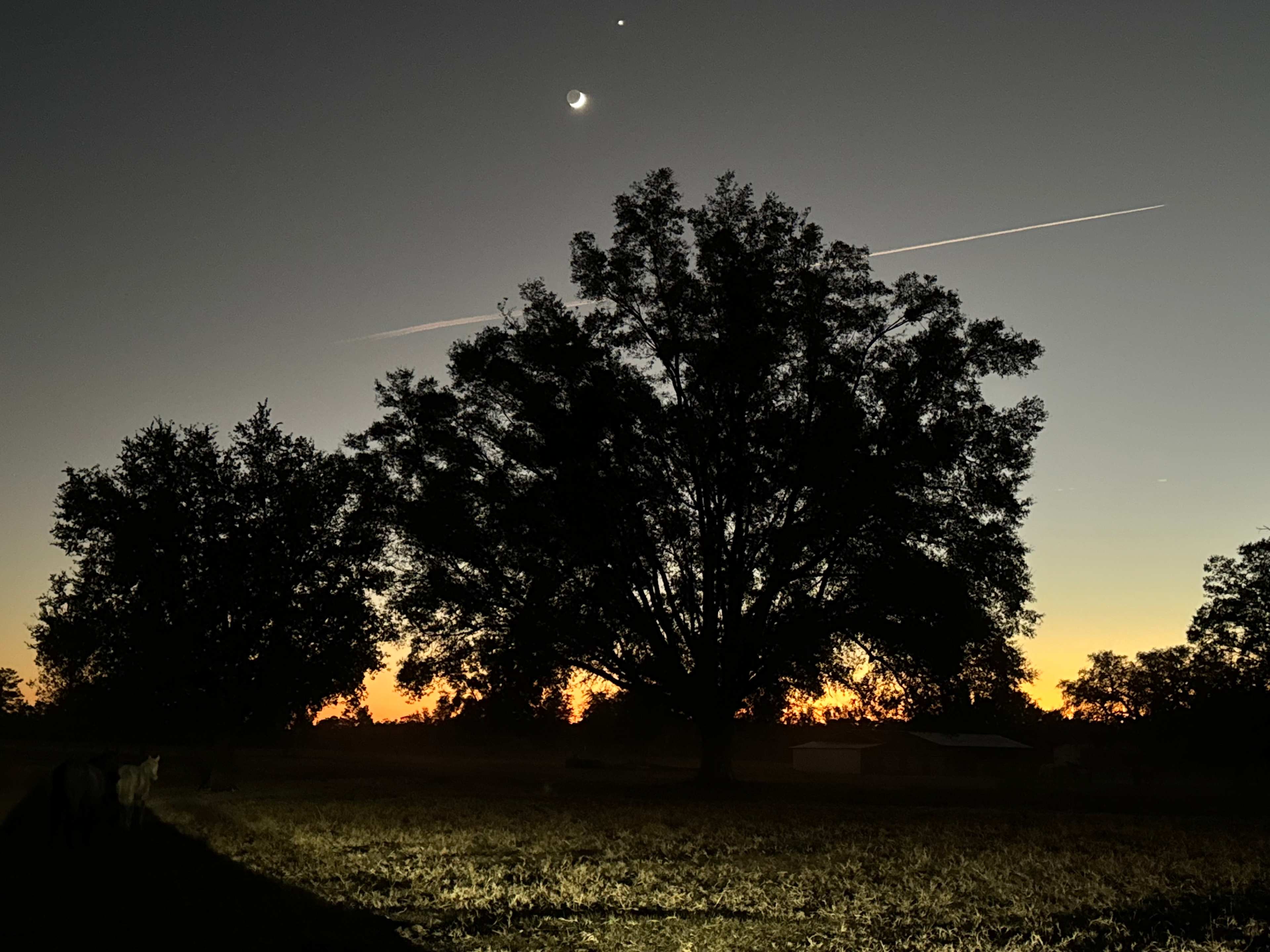 Big Oaks Dog And Horse Camping