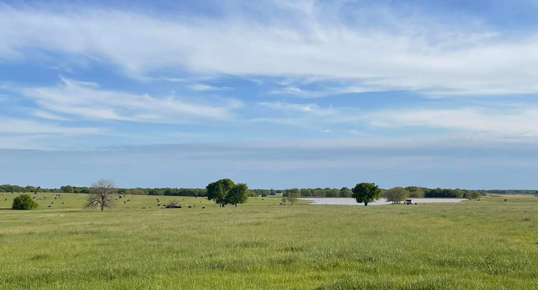 Chigger Hill Ranch