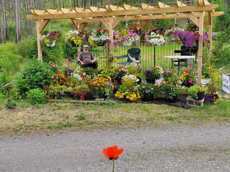 Country Garden Bicycle Camping