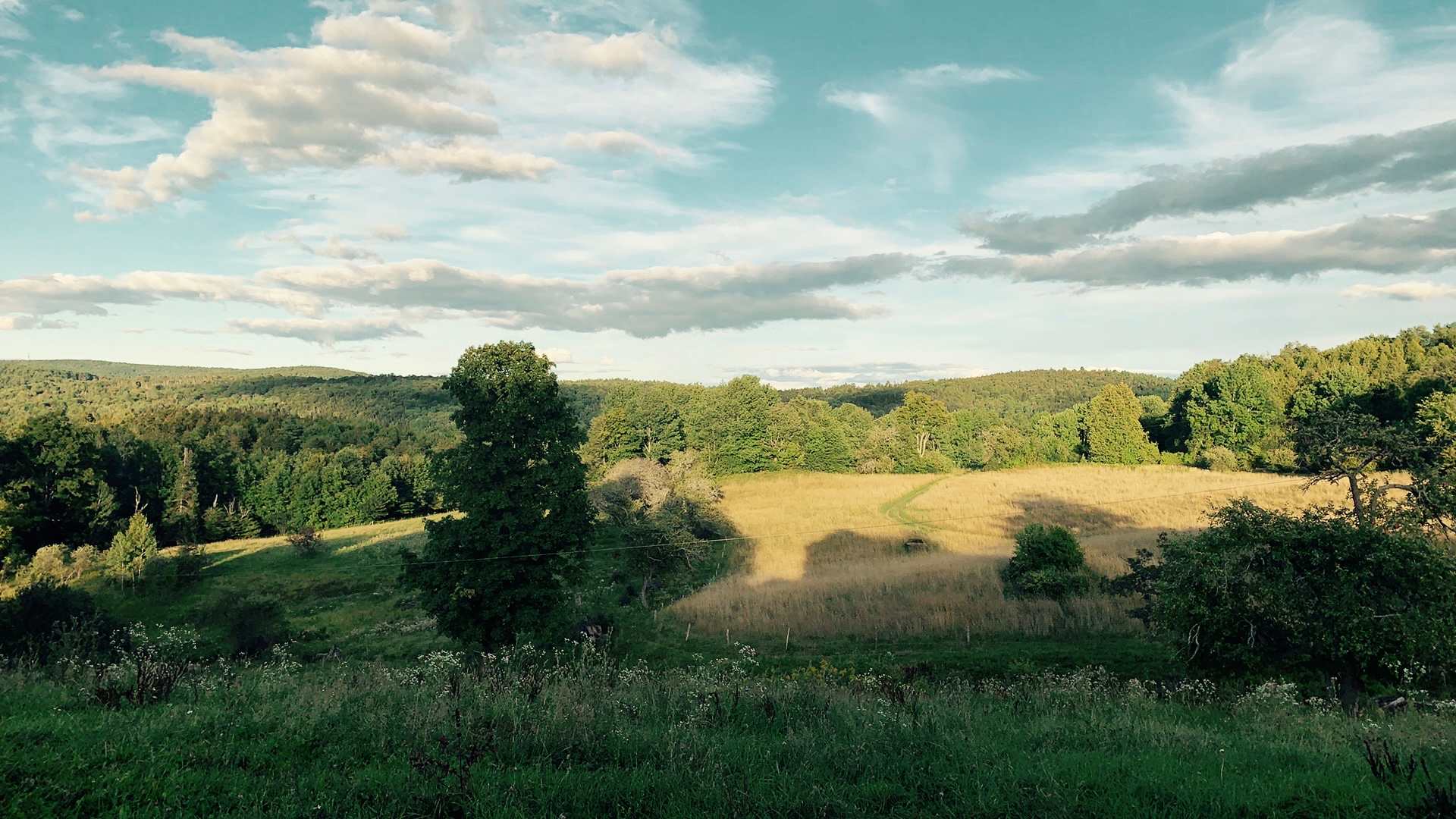 Headwaters Farm and Forest