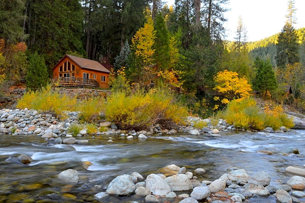 The Lure Downieville