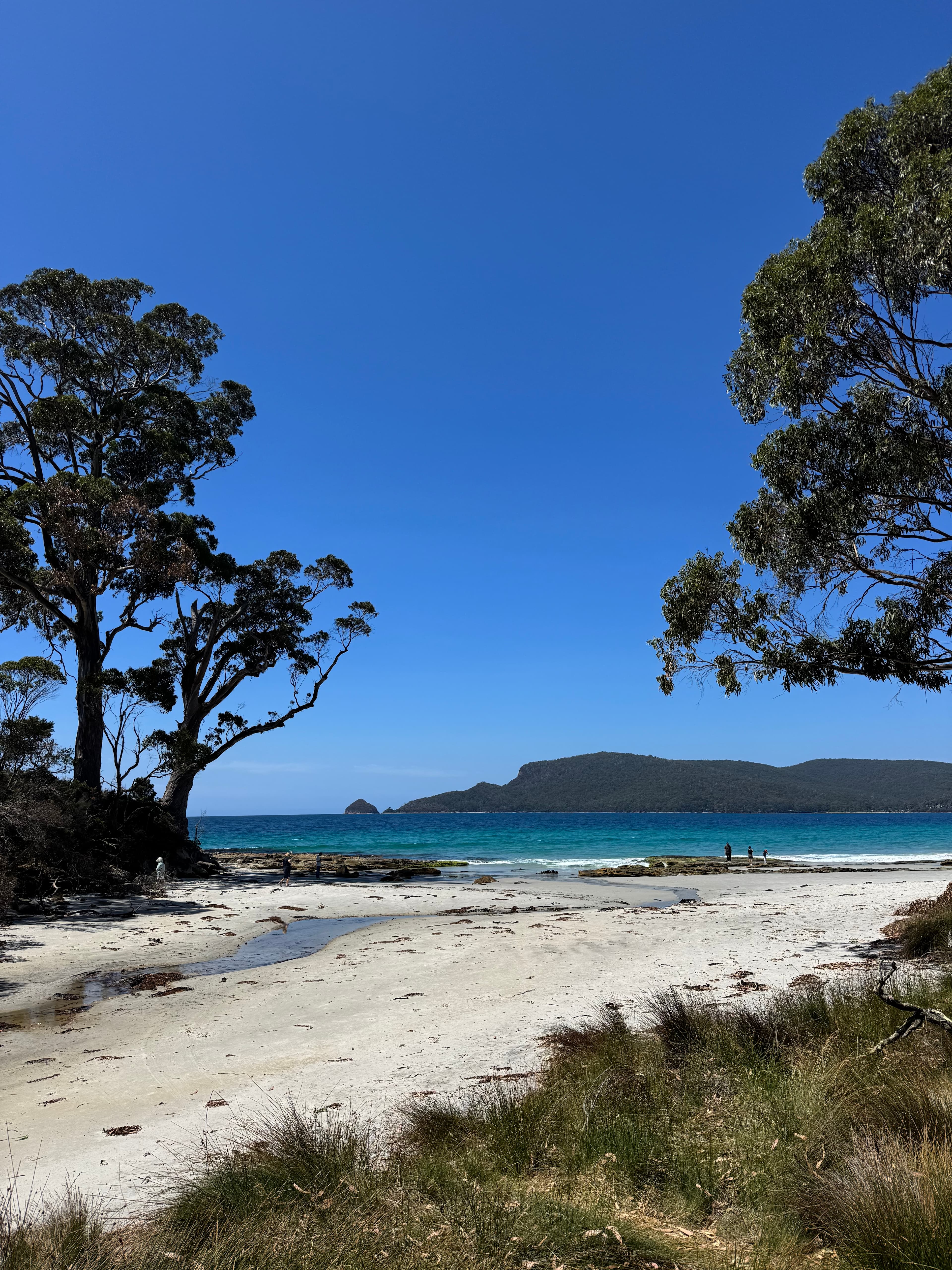 Resolution Farm - Beach Views