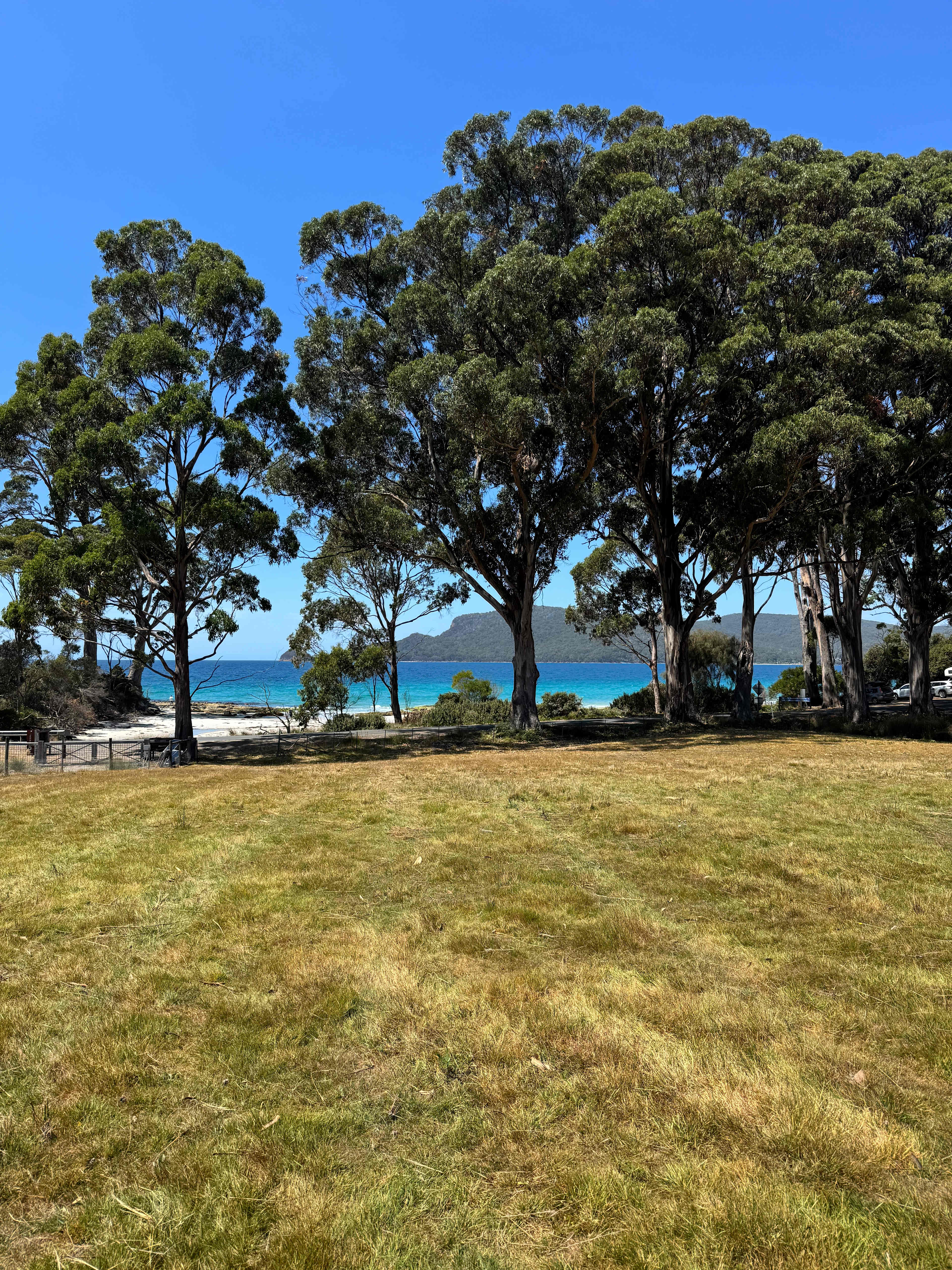 Resolution Farm - Beach Views