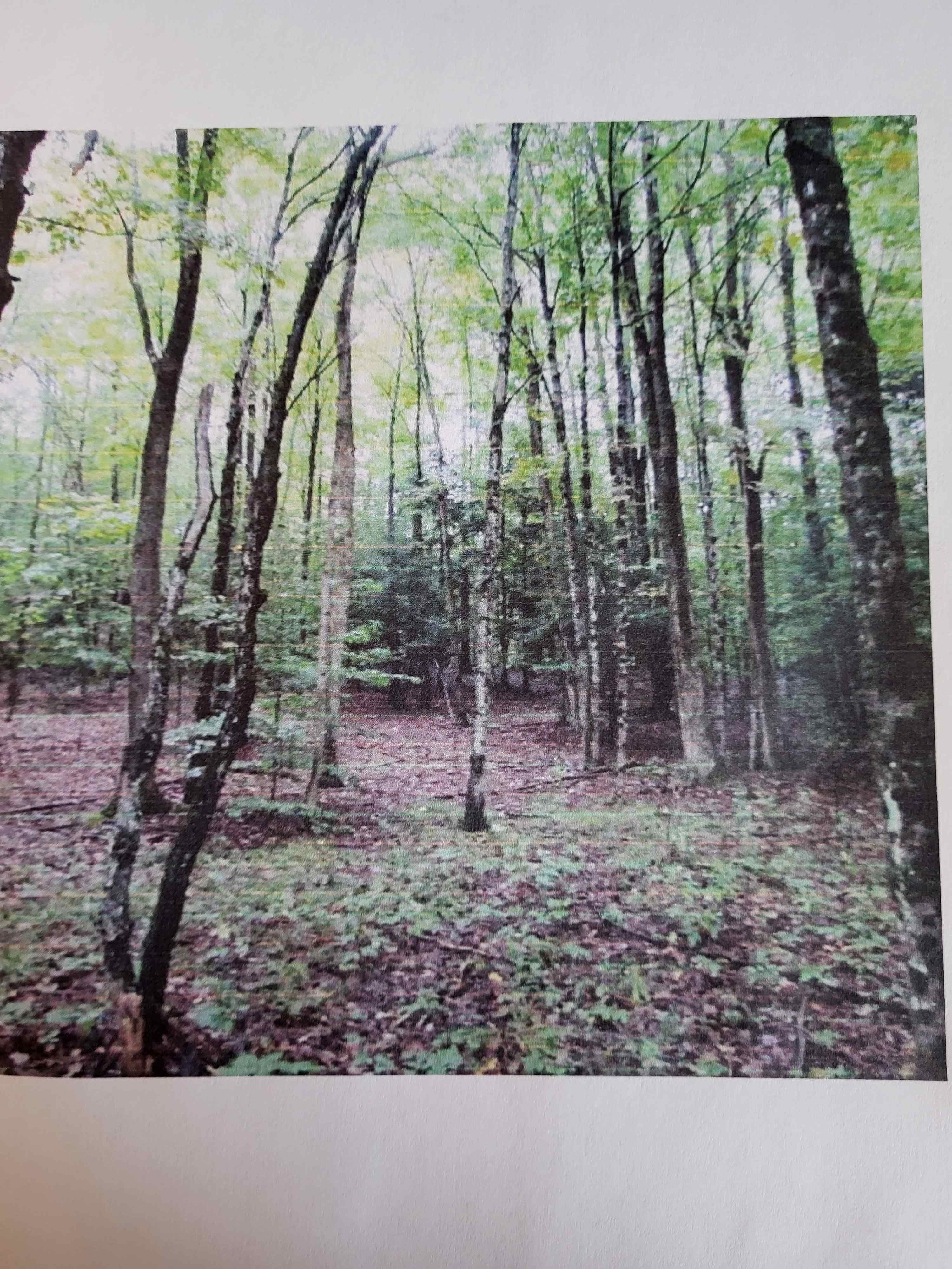Kelley's Rustic Secluded Peaceful Camp