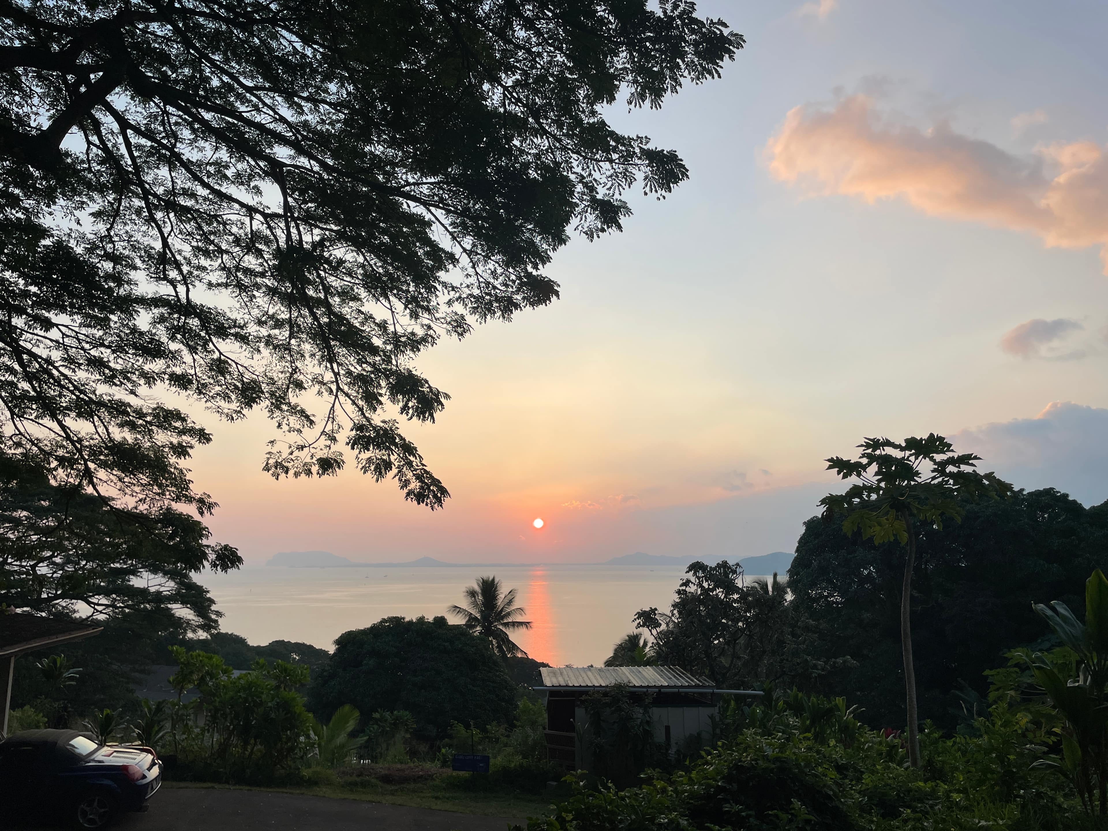 FABU Views on Jungle Farm/Treehouse