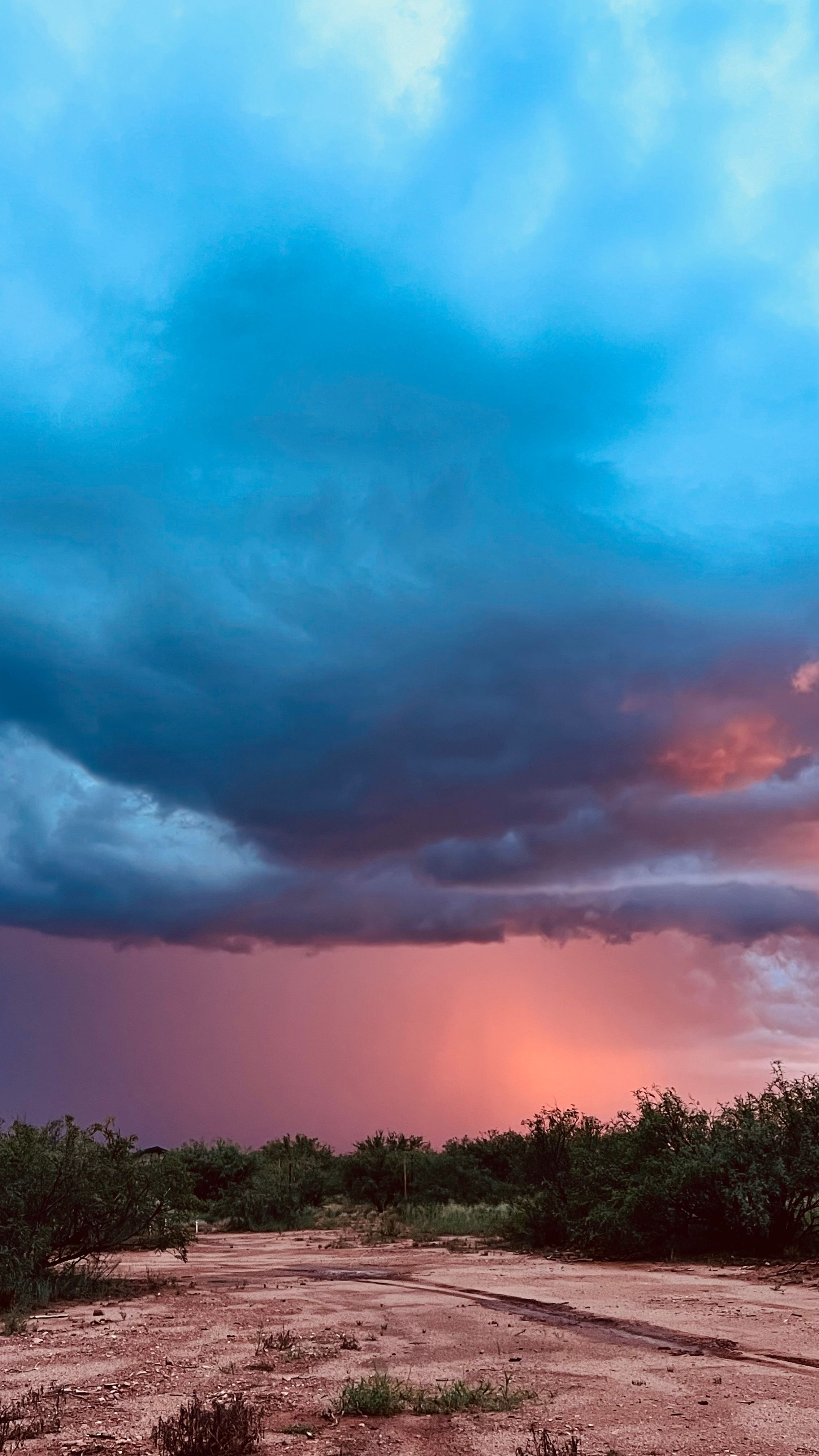 Mesquite Meadows
