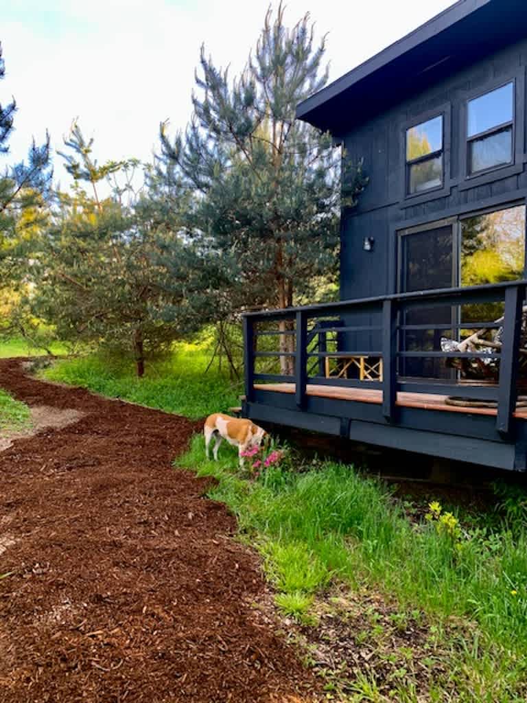 Glamping in a Tiny Cabin on a Farm