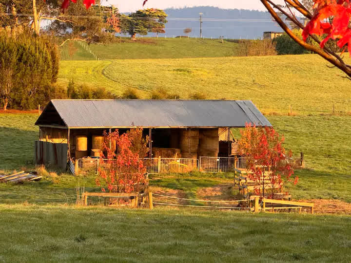 Luxury on Wheels - Mountain Views