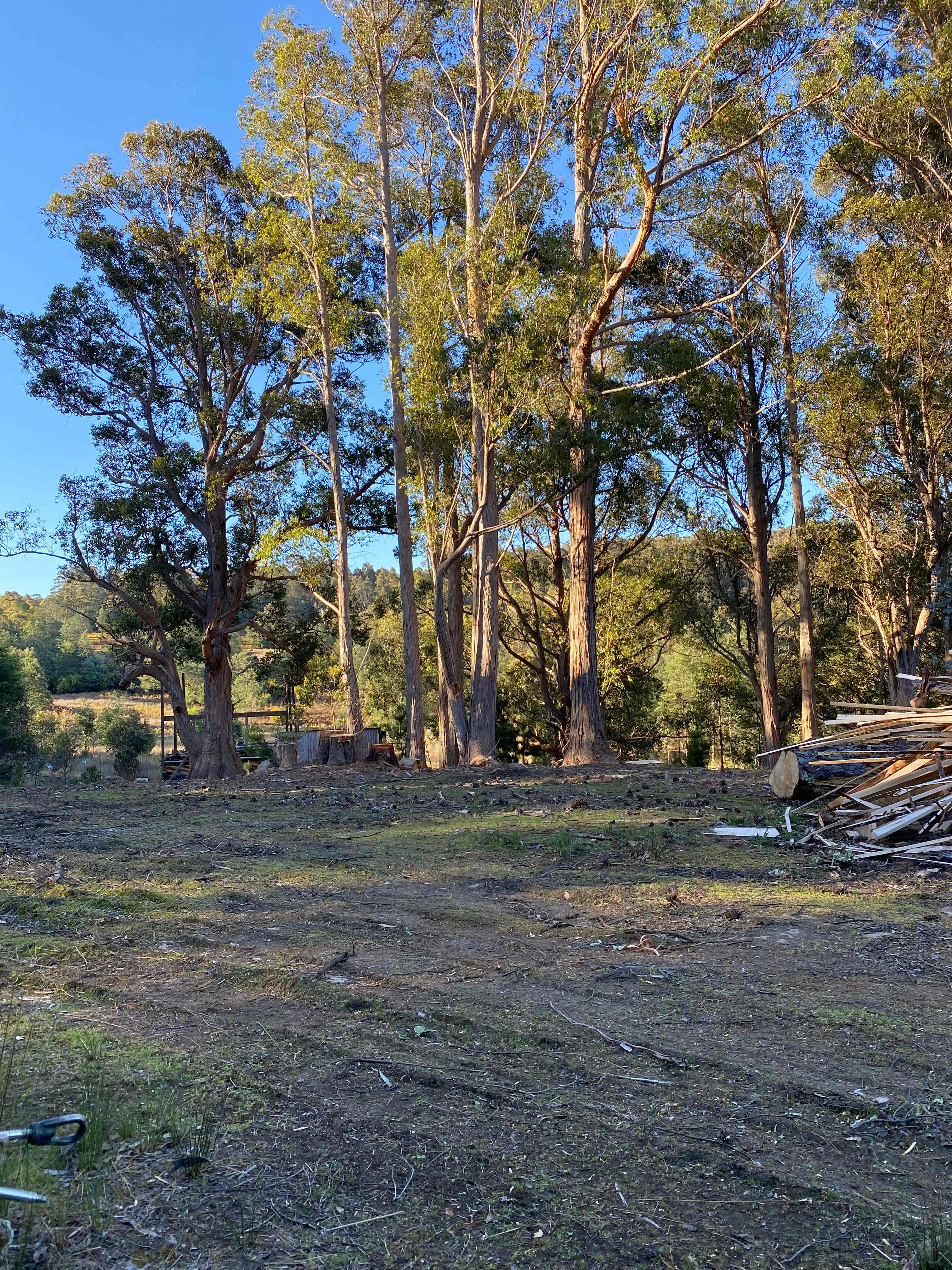 Camp Hill Farm