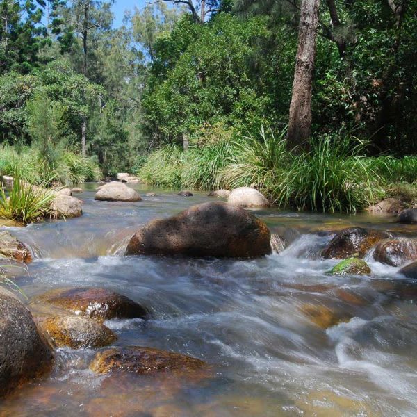 Mt Barney Lodge Eco Retreat