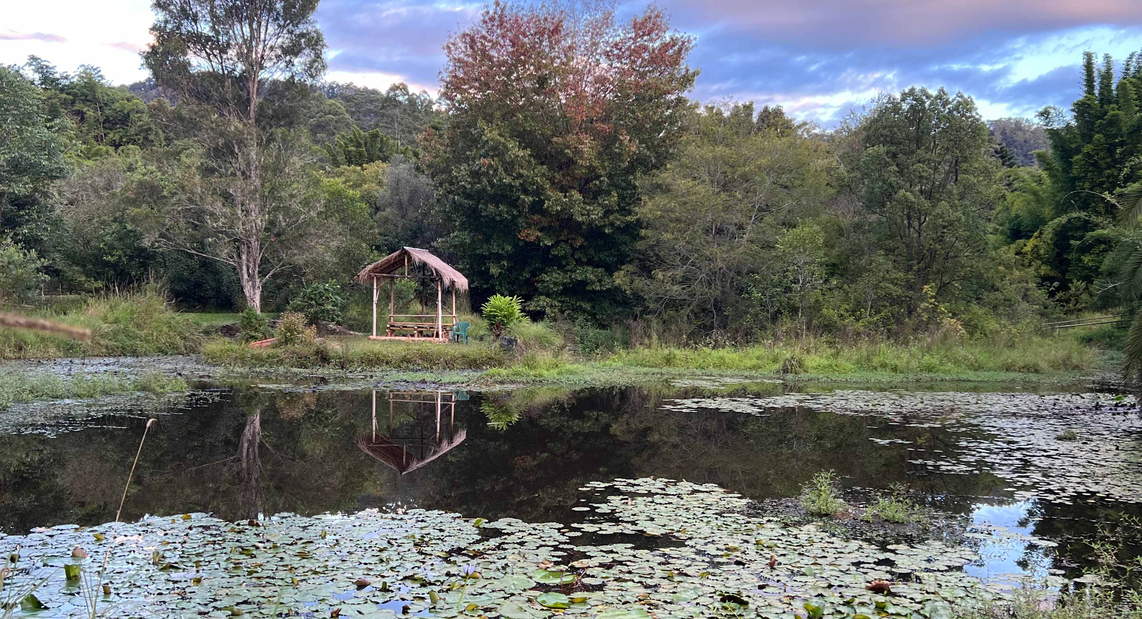 Bamboo gazebo in the island is accessible via a quaint stone bridge guarded by a life-size troll. A delightful place to enjoy the peace and best spot for watching the sun set over the lily pond