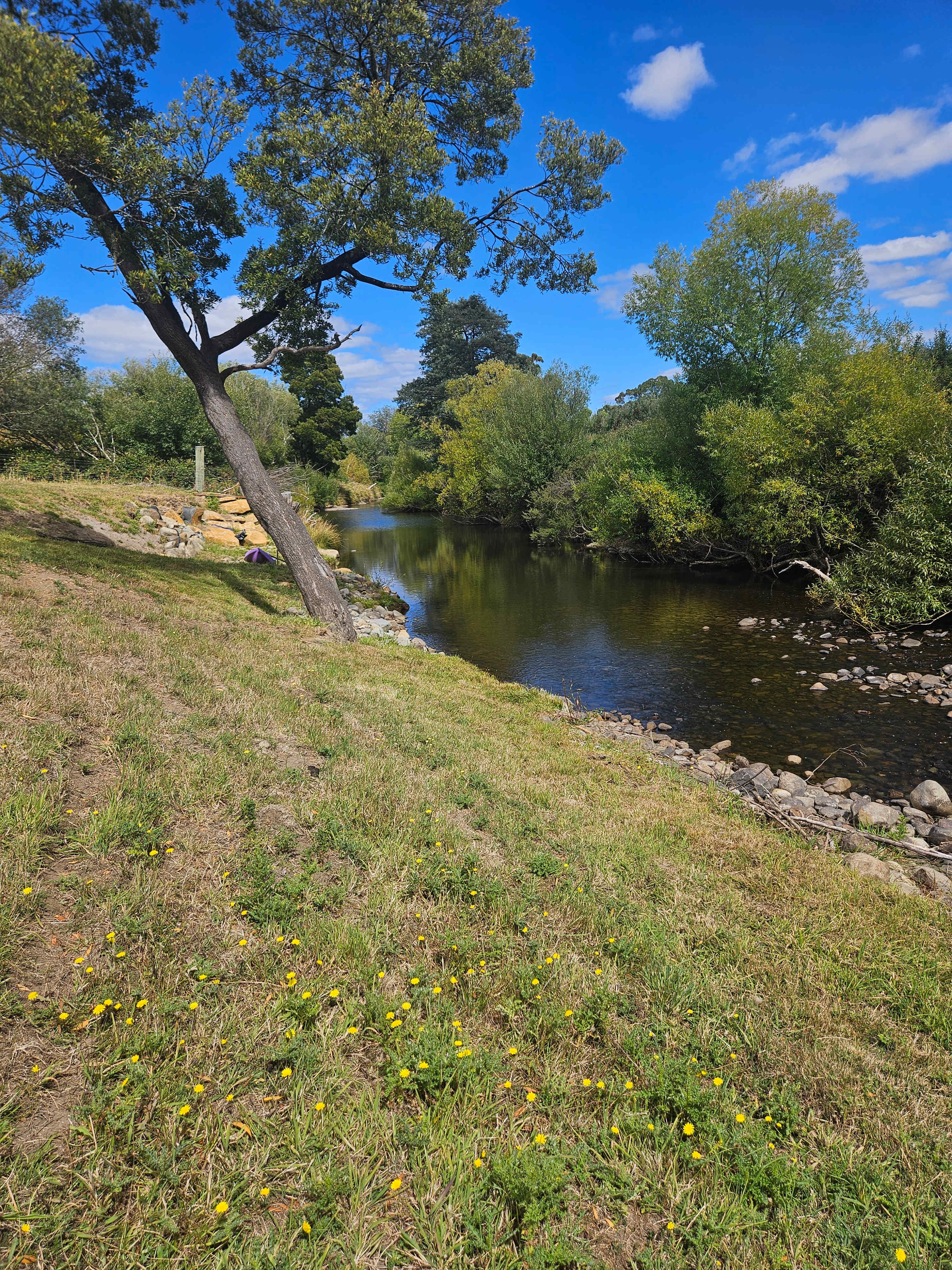 Huon Valley Riverside Camping