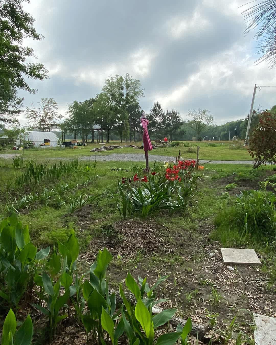Whimsical Flower Farm