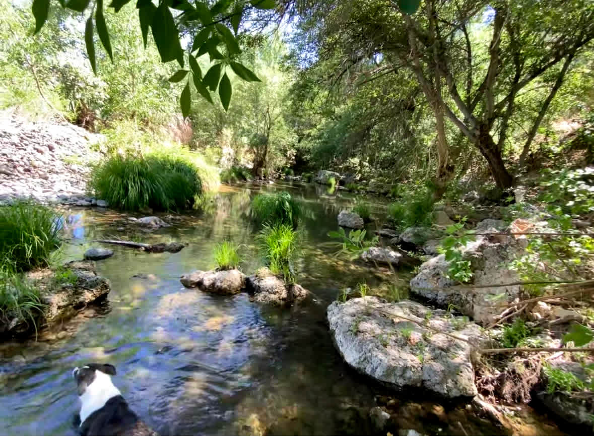 Creekside Retreat on 3 Acres!