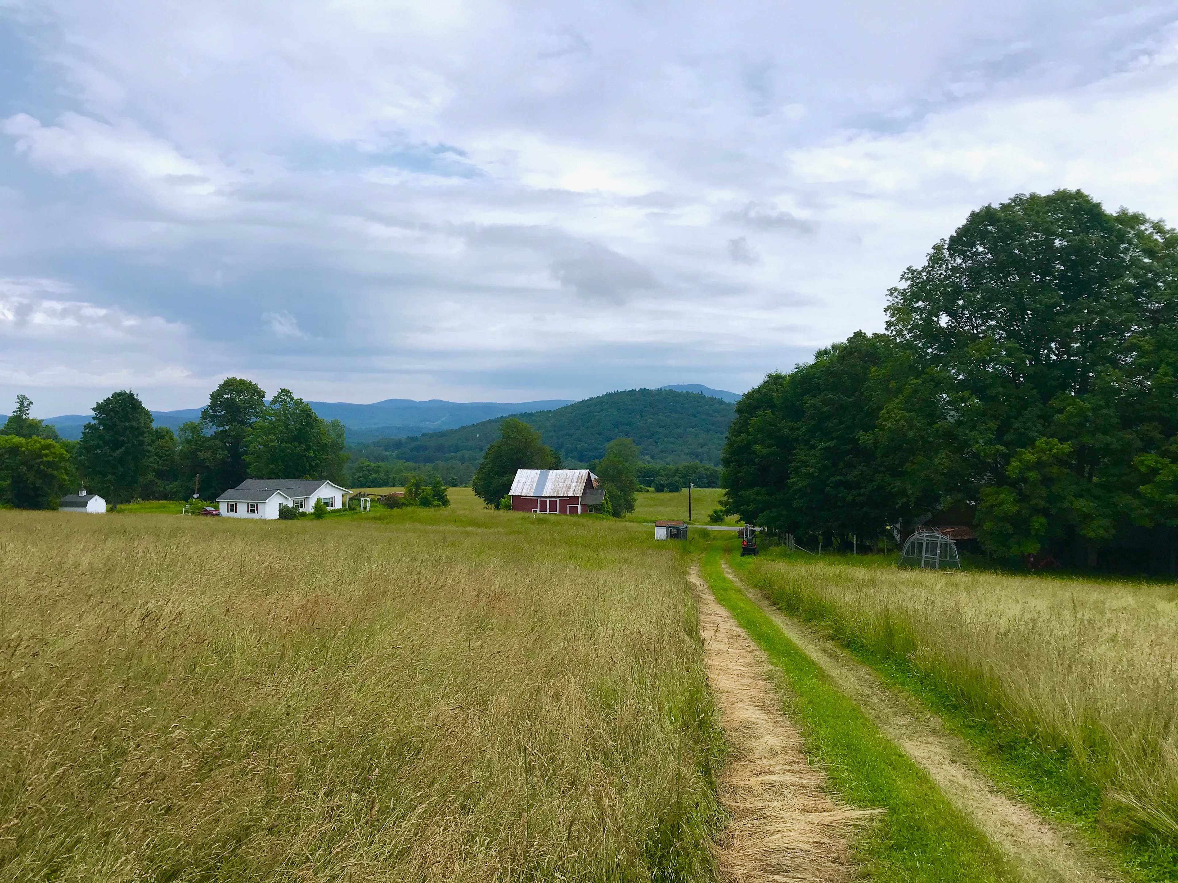 Dancing Bear Farm