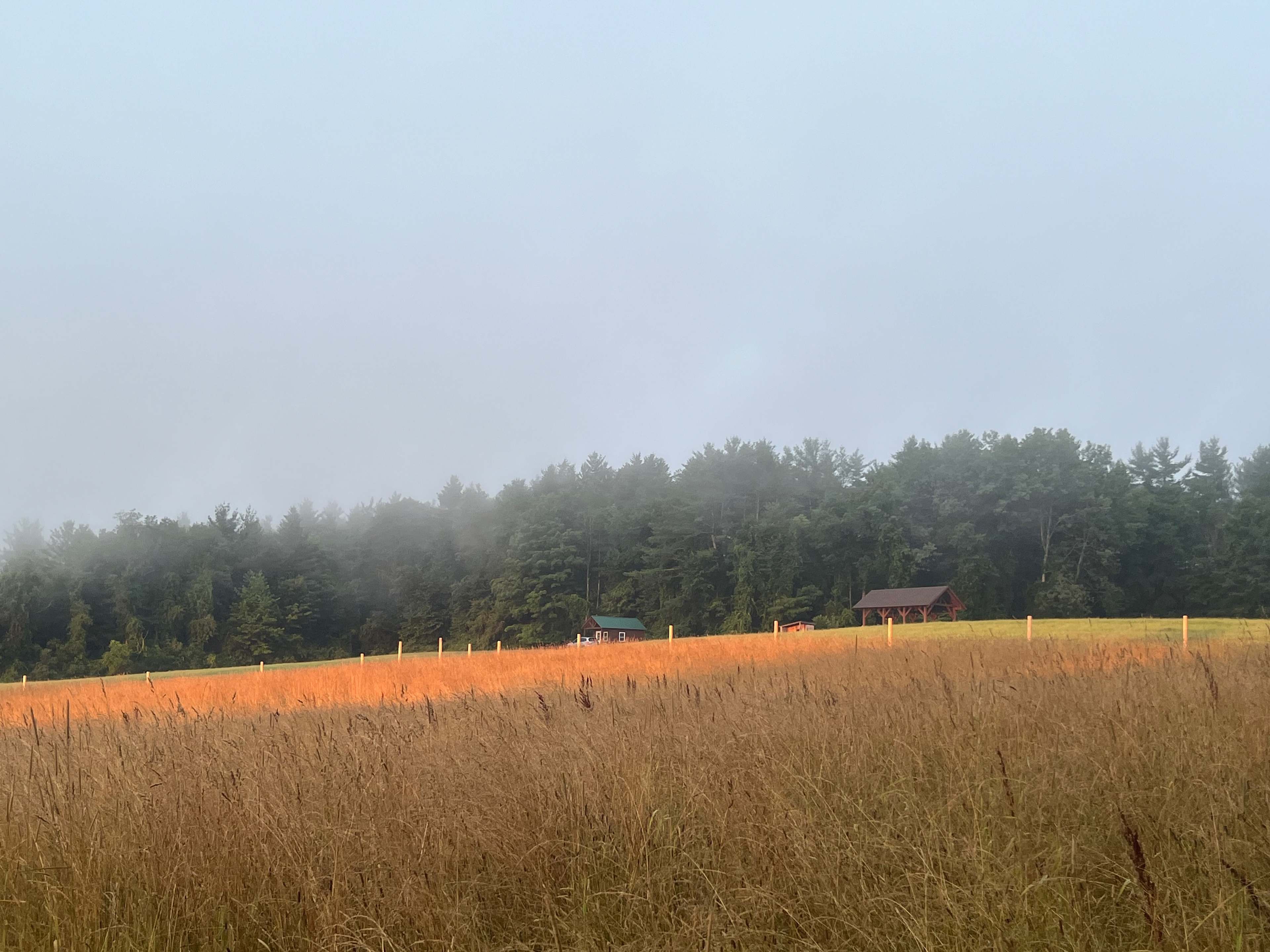 Dancing Bear Farm