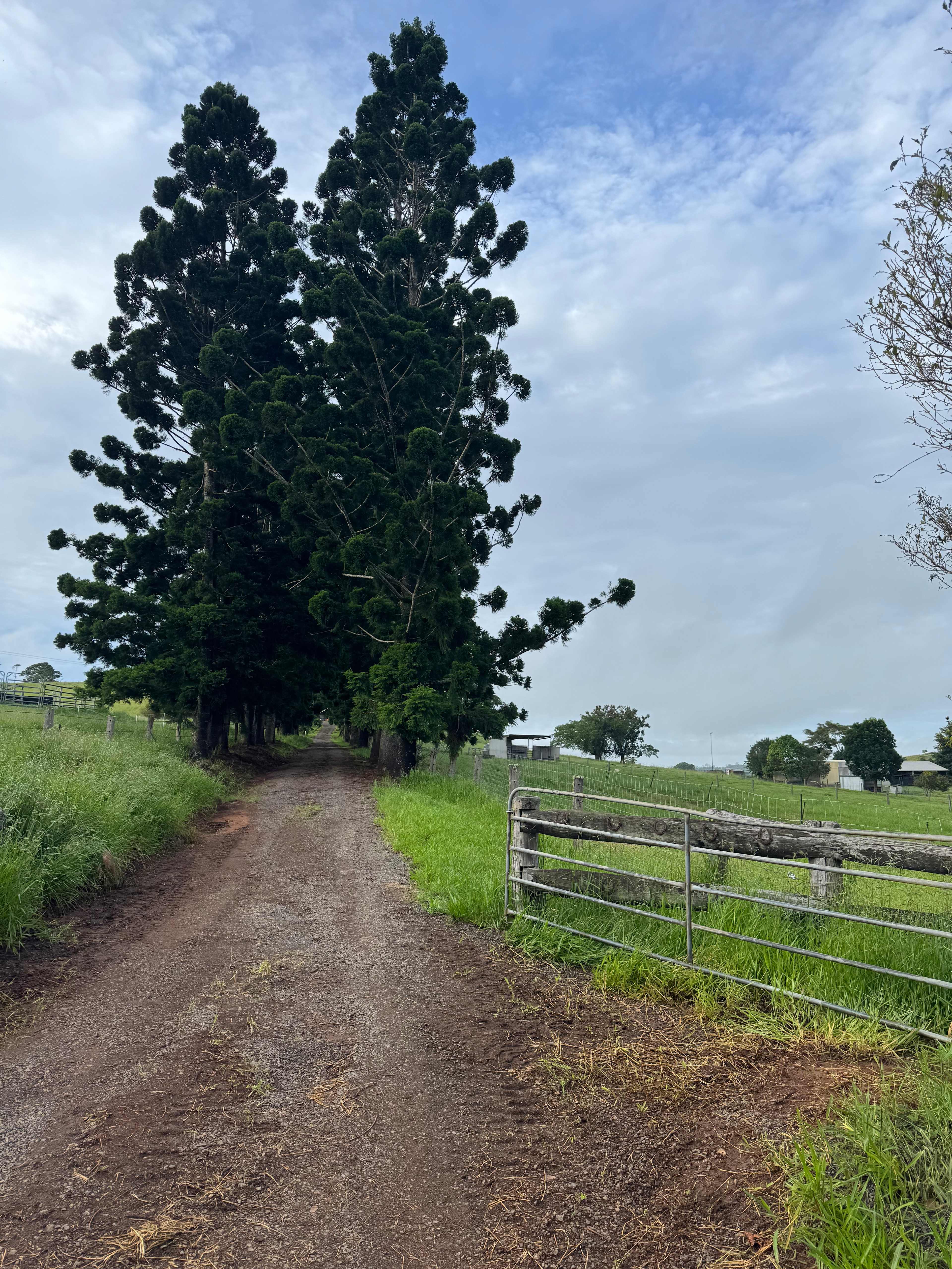 Barrine Farmstay And Camping