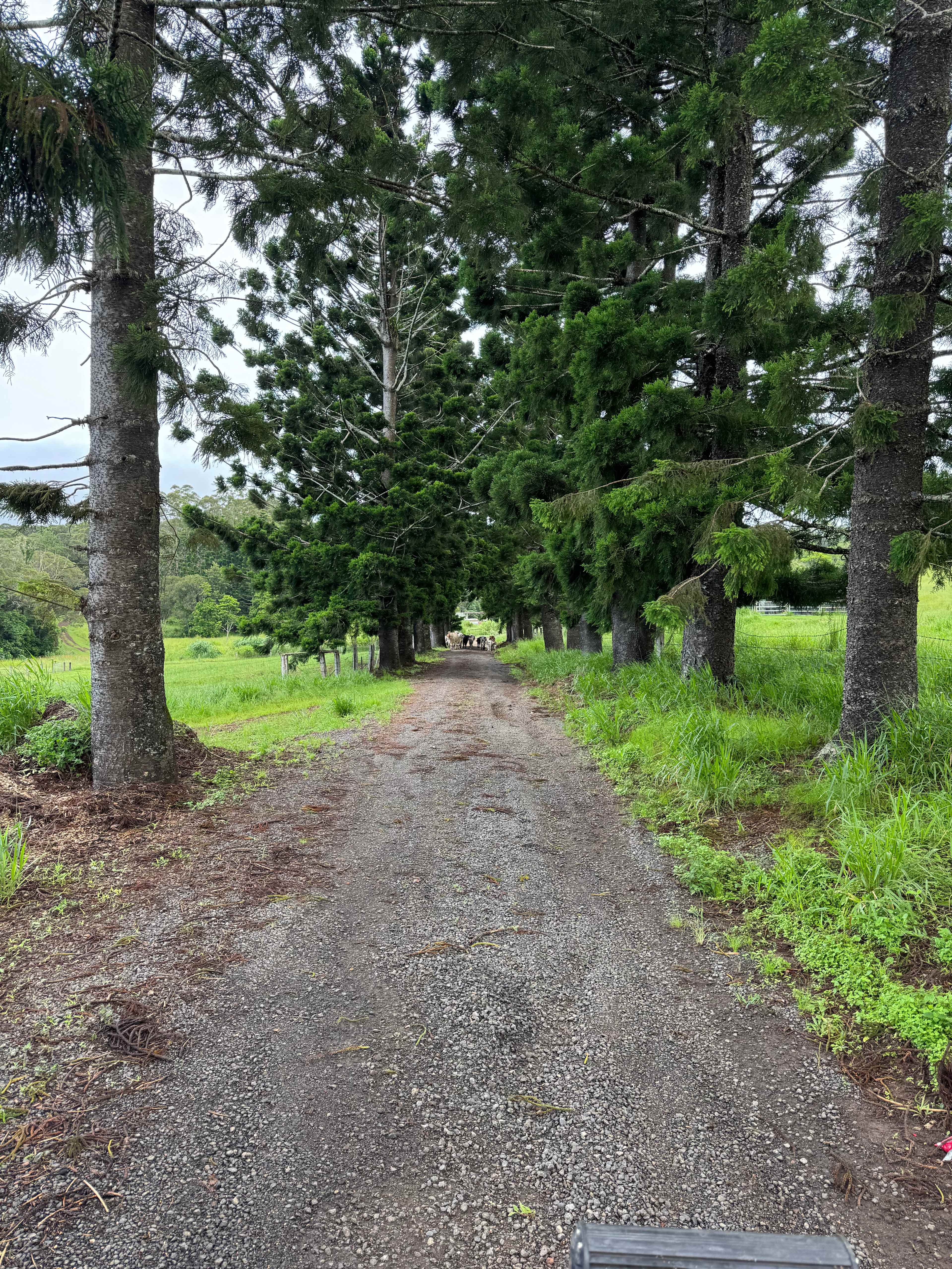 Barrine Farmstay And Camping