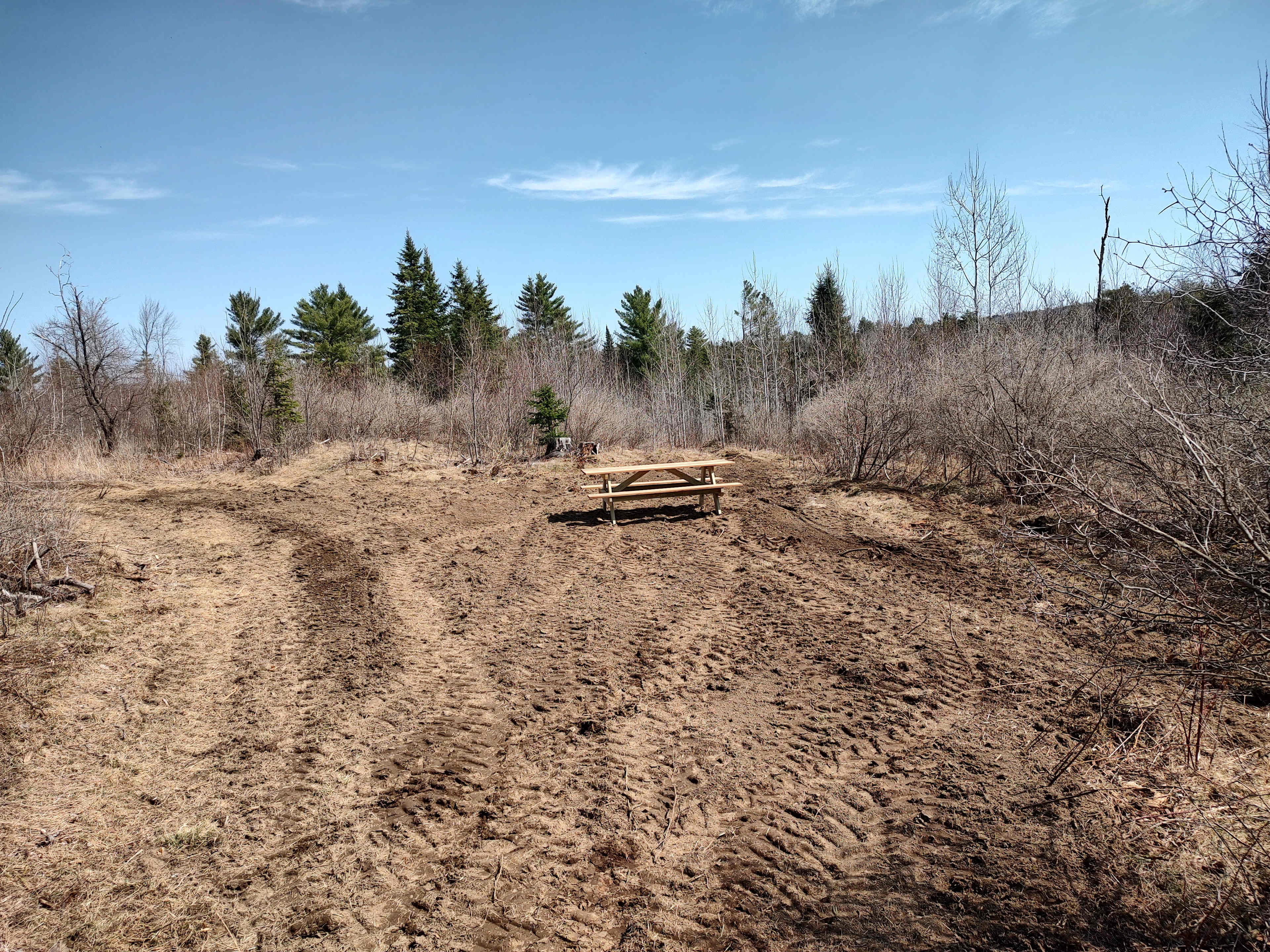 Picture of the site