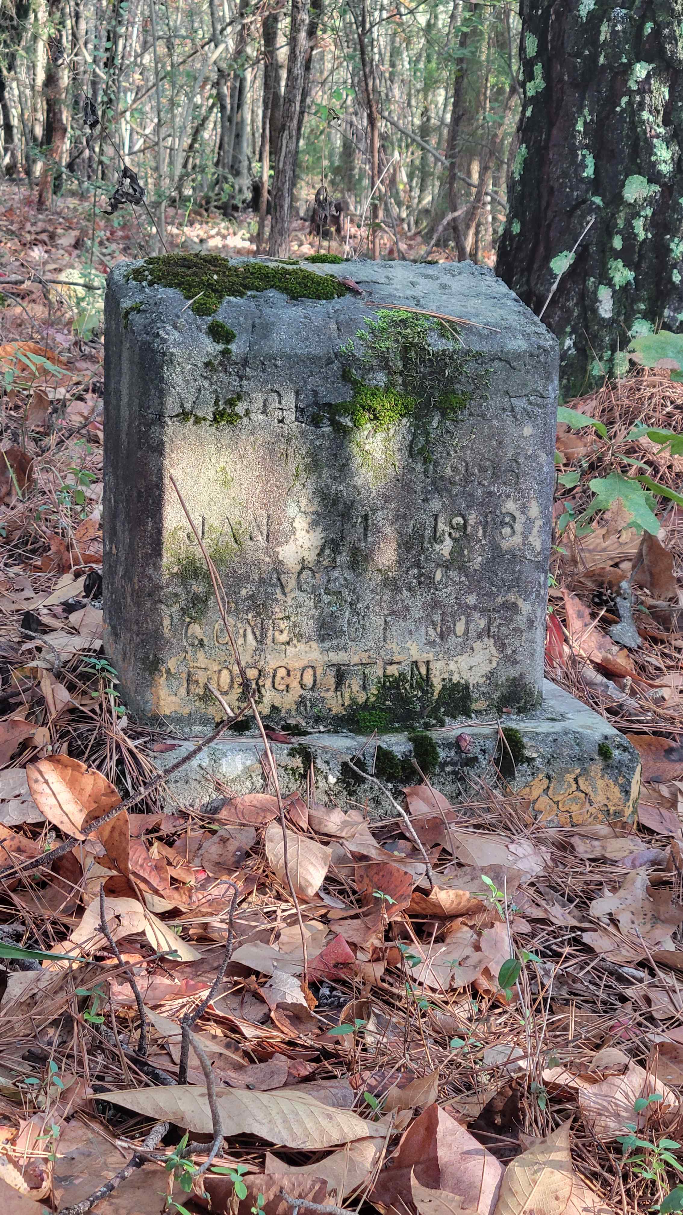 Graveyard Homestead
