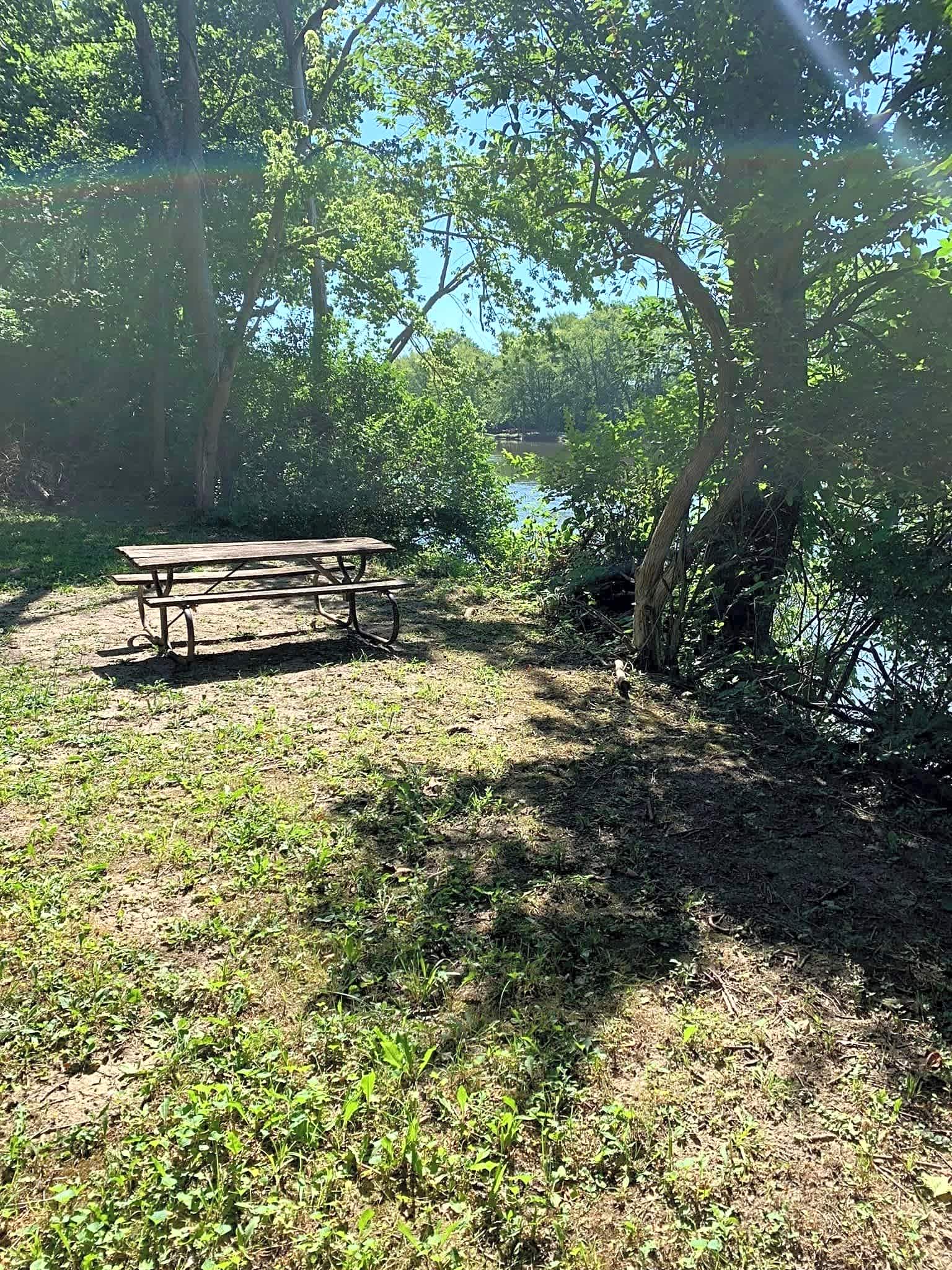 Picture of the site