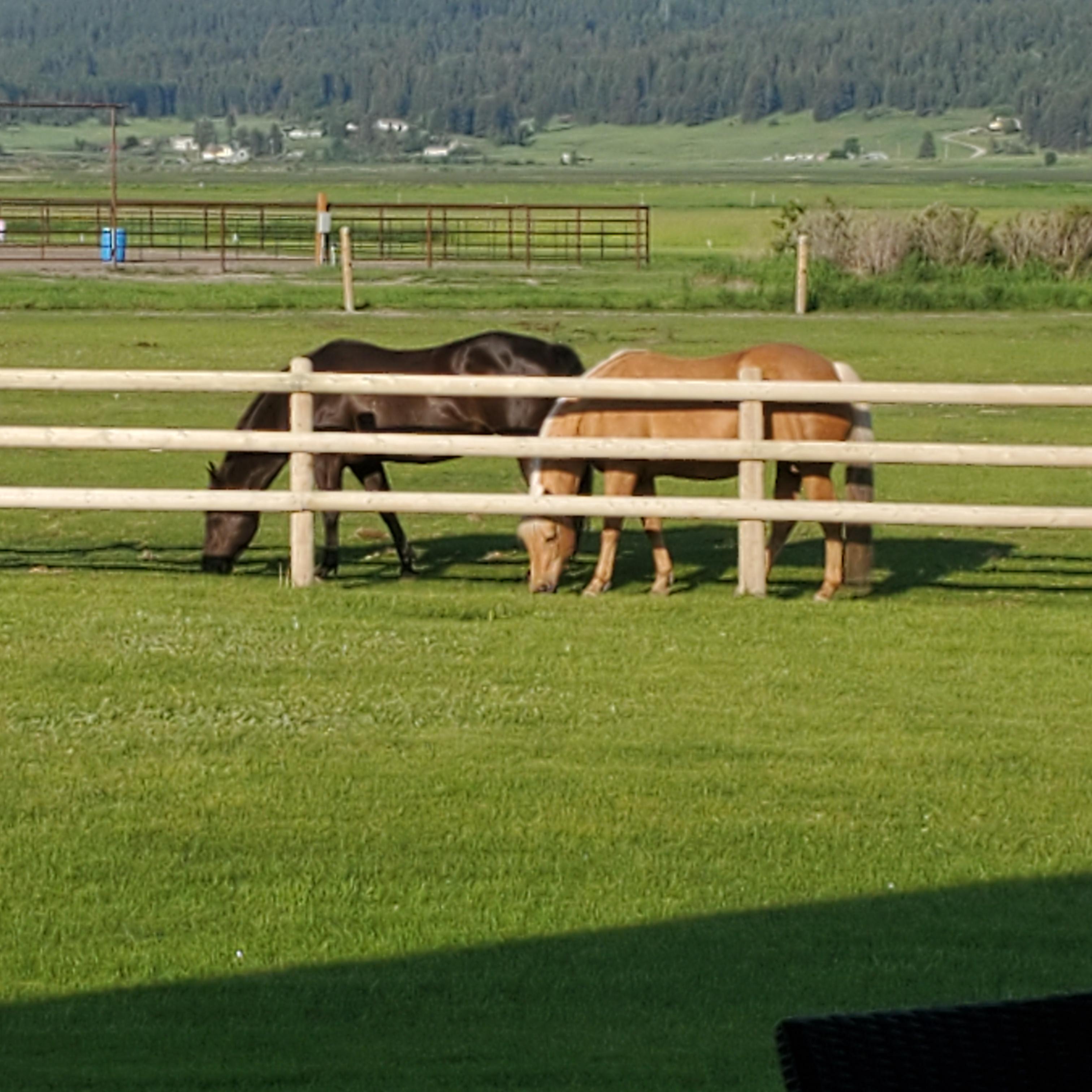 4p Horse Ranch