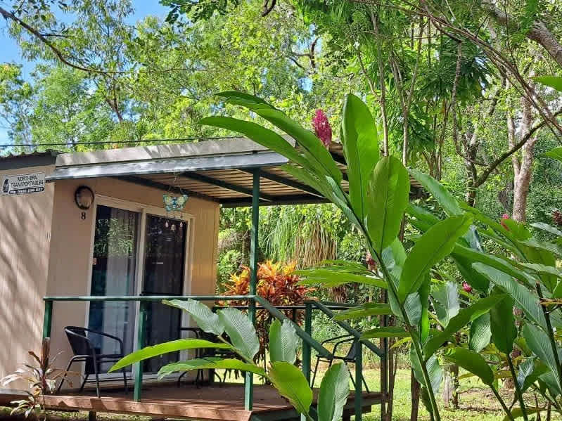 Pandanus on Litchfield