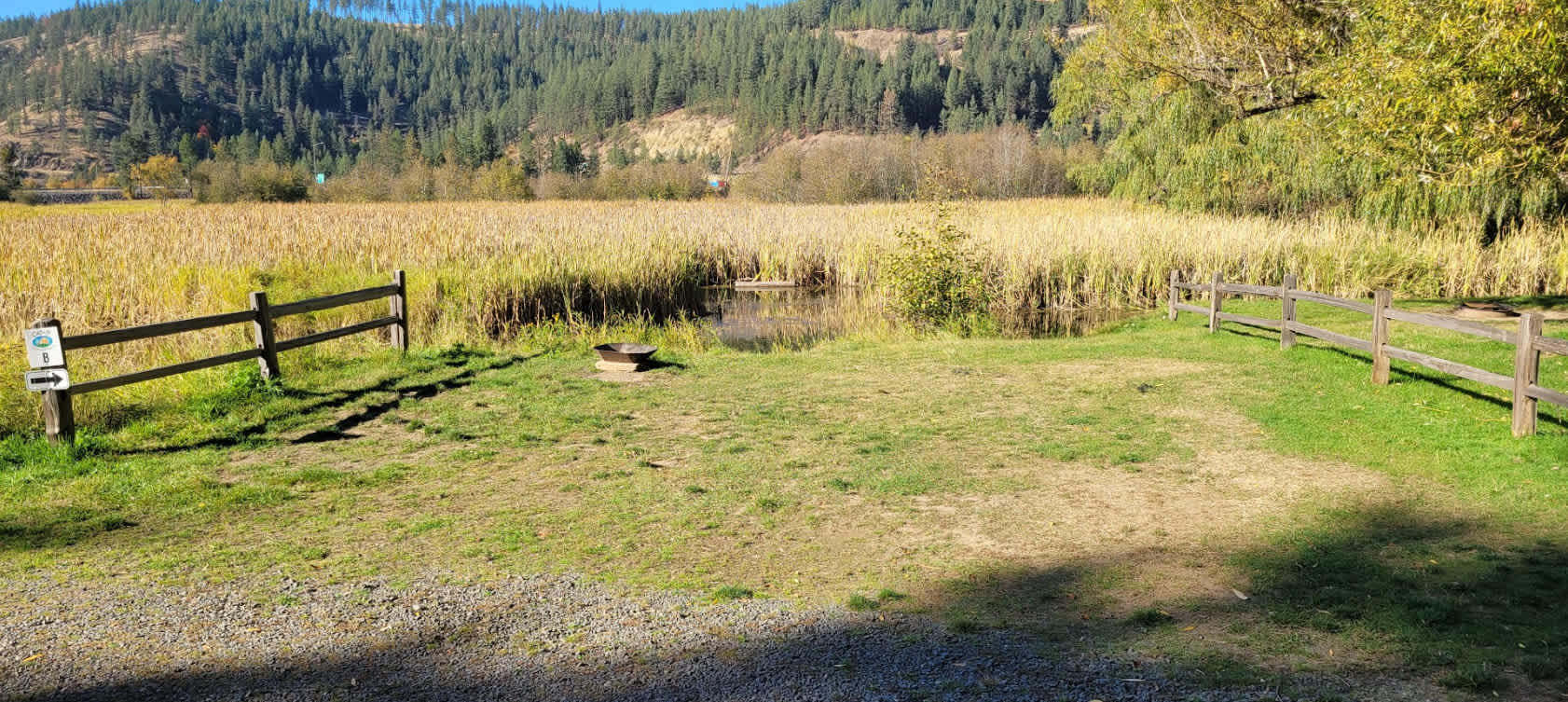 Picture of the site