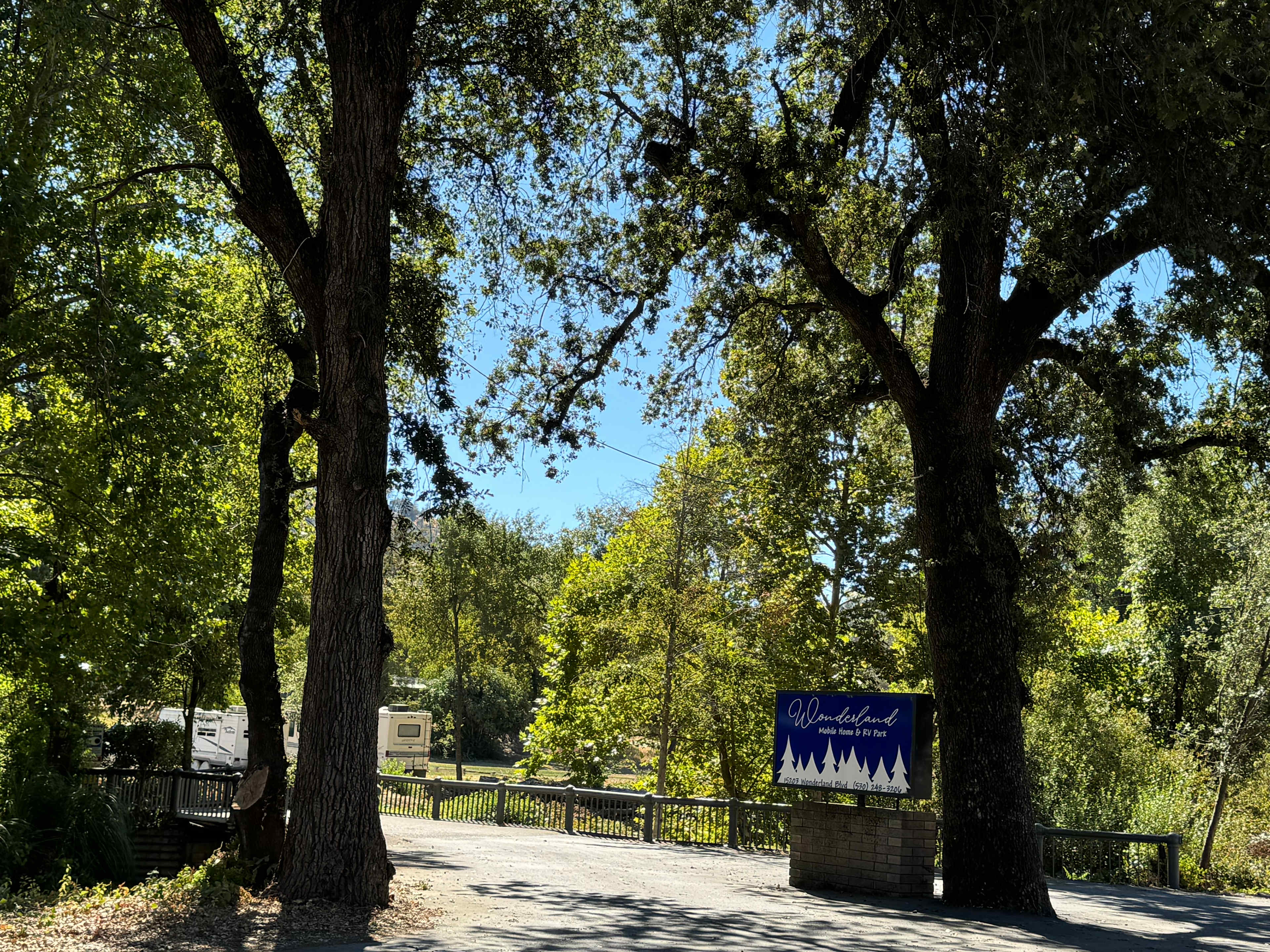 Beautiful trees greet you as you arrive.