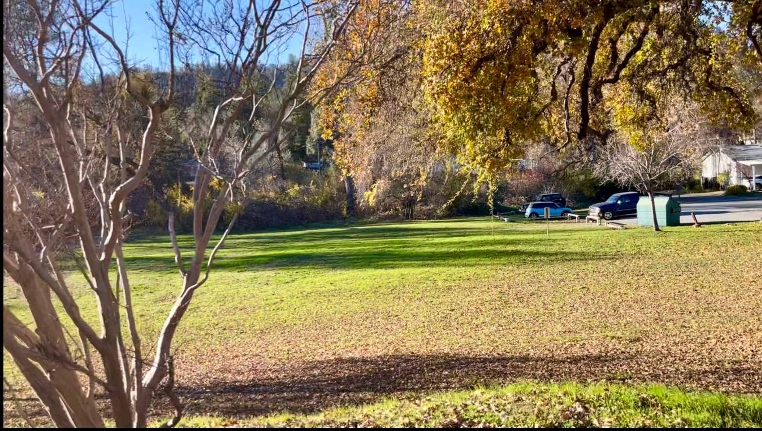 Acres to camp, play games and walk your dog.