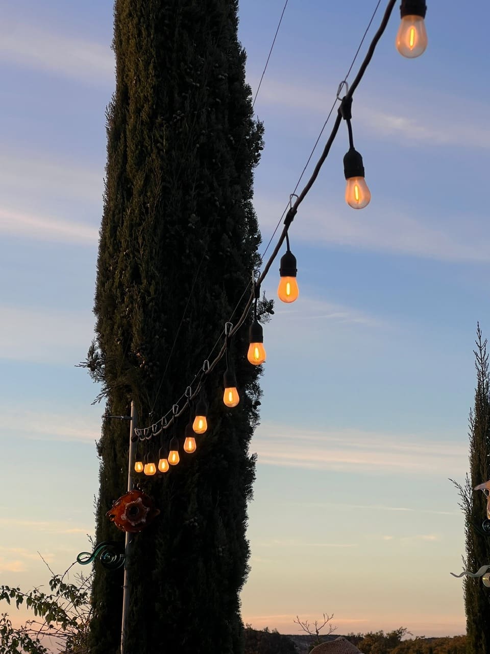 Dos Fernandos' Hideaway RV vineyard