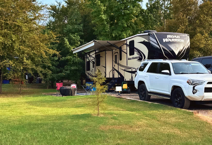Picture of the site