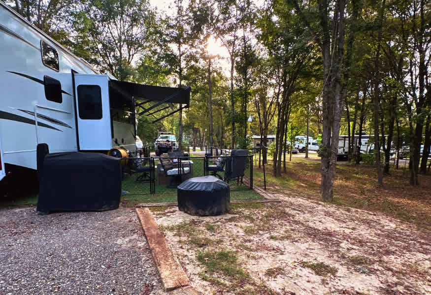 Picture of the site