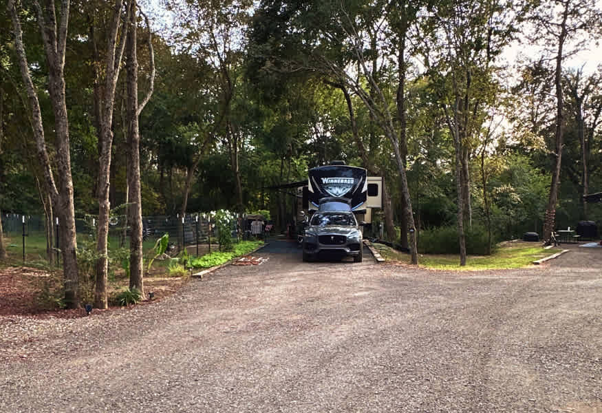 Picture of the site