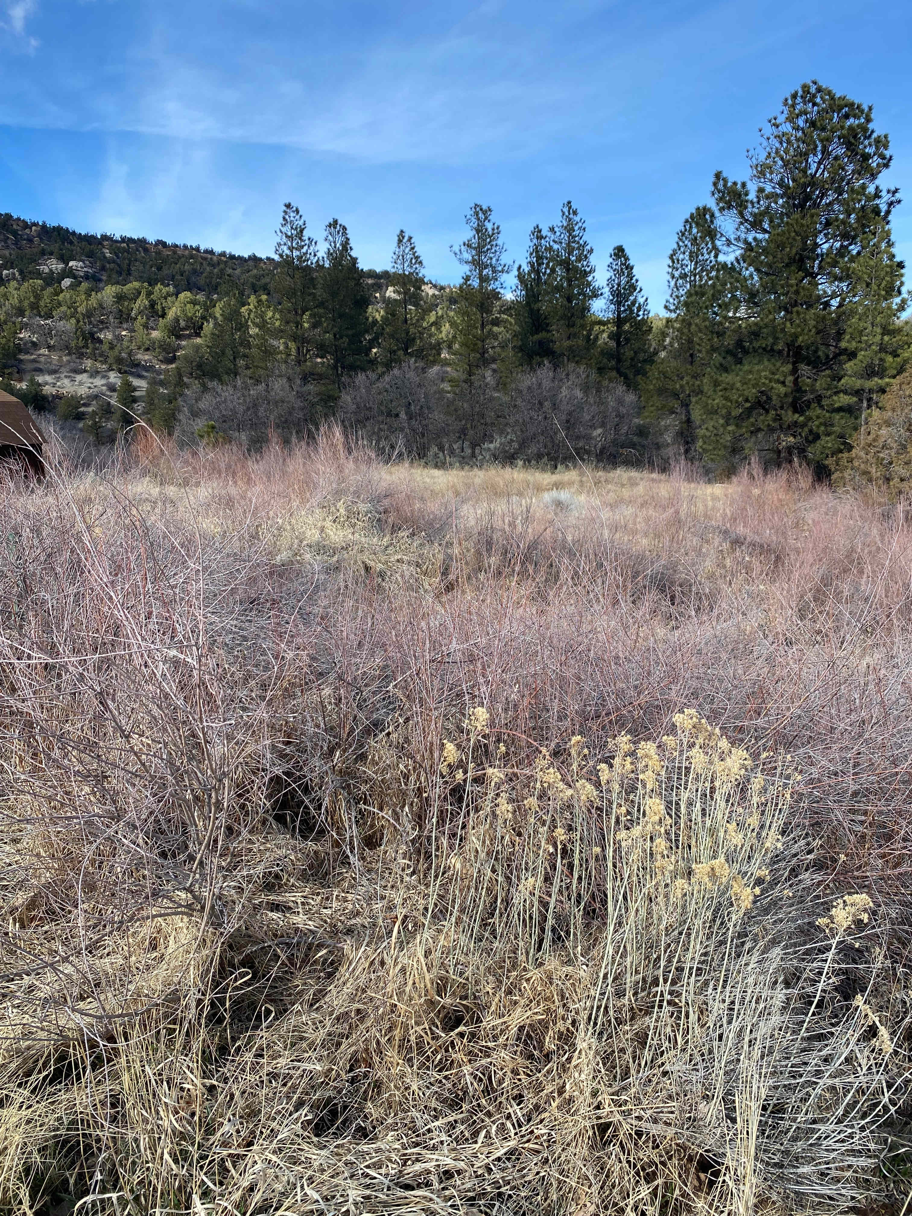 "The Spring" Campground