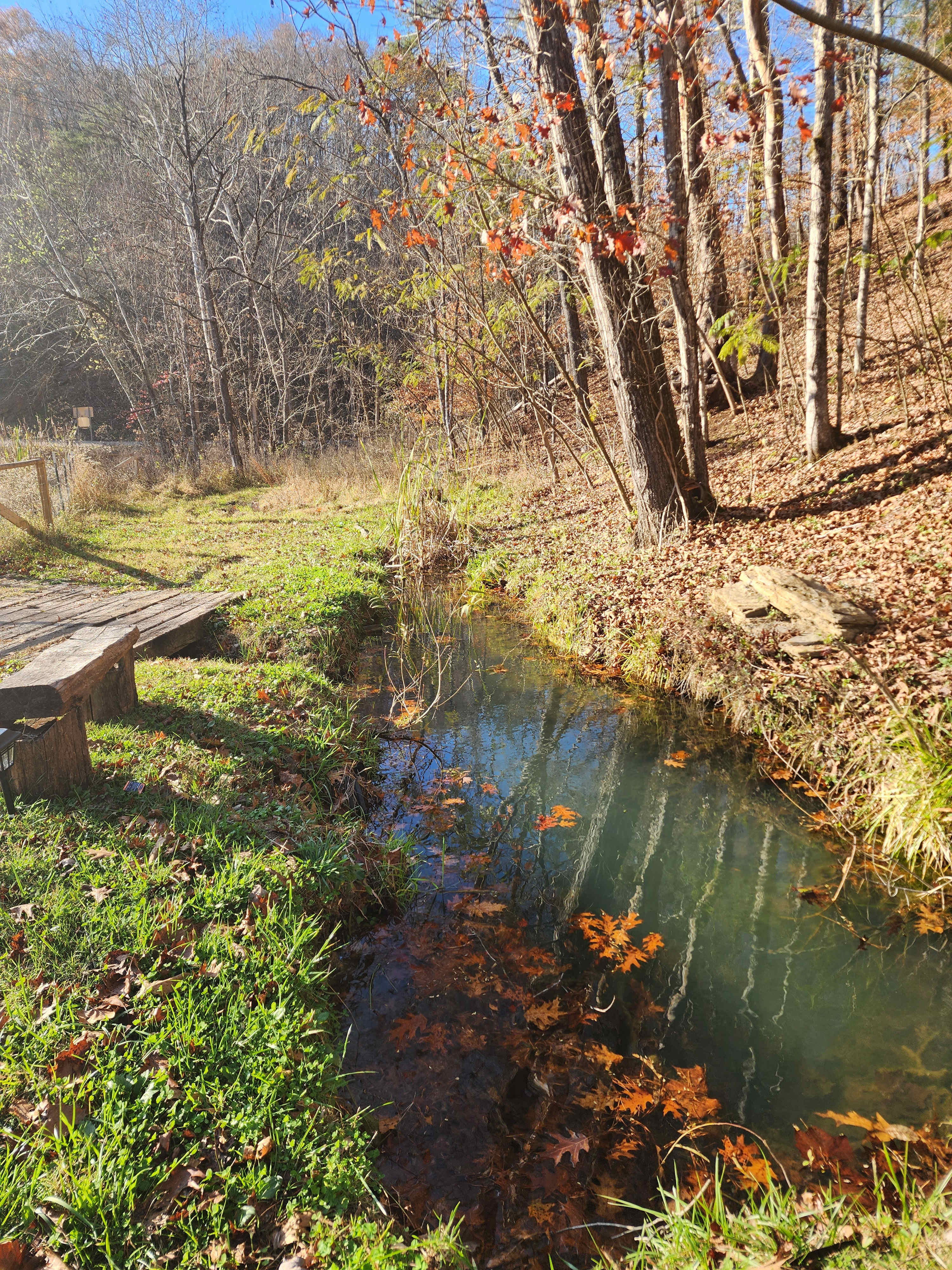 Bear Hollow Reserve