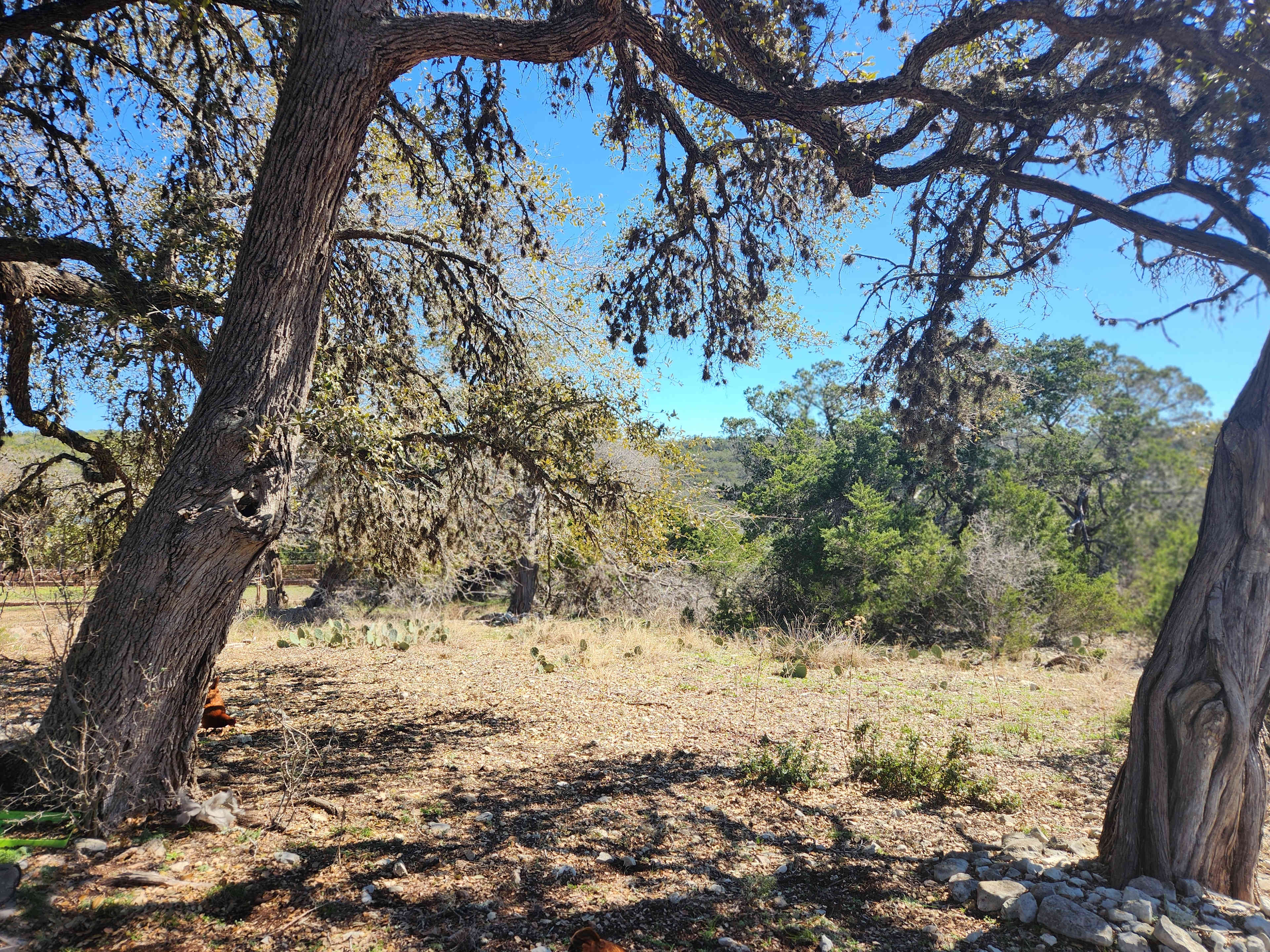 Rockstack Camp @ Hitchman Homestead