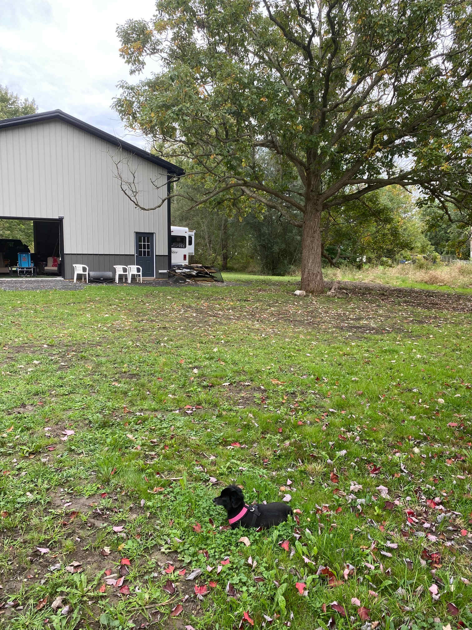 Bianca's Barn On Black Creek