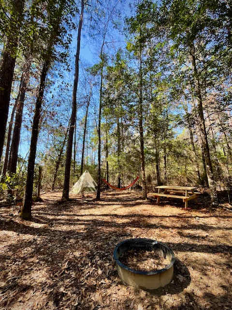 **TENT & HAMMOCK NOT INCLUDED** but are available for purchase or rent at the camp store! -- Each campsite only comes with a picnic table & fire pit ring with grill rack.  Basic camping supplies are available in the camp store!
