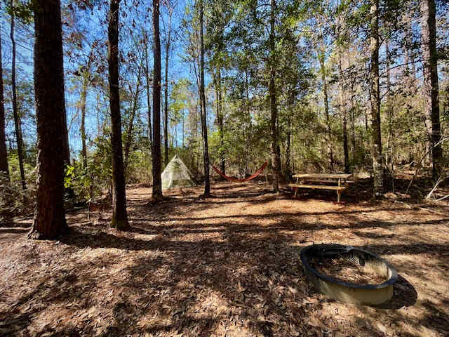 **TENT & HAMMOCK NOT INCLUDED** but are available for purchase or rent at the camp store! -- Each campsite only comes with a picnic table & fire pit ring with grill rack.  Basic camping supplies are available in the camp store!