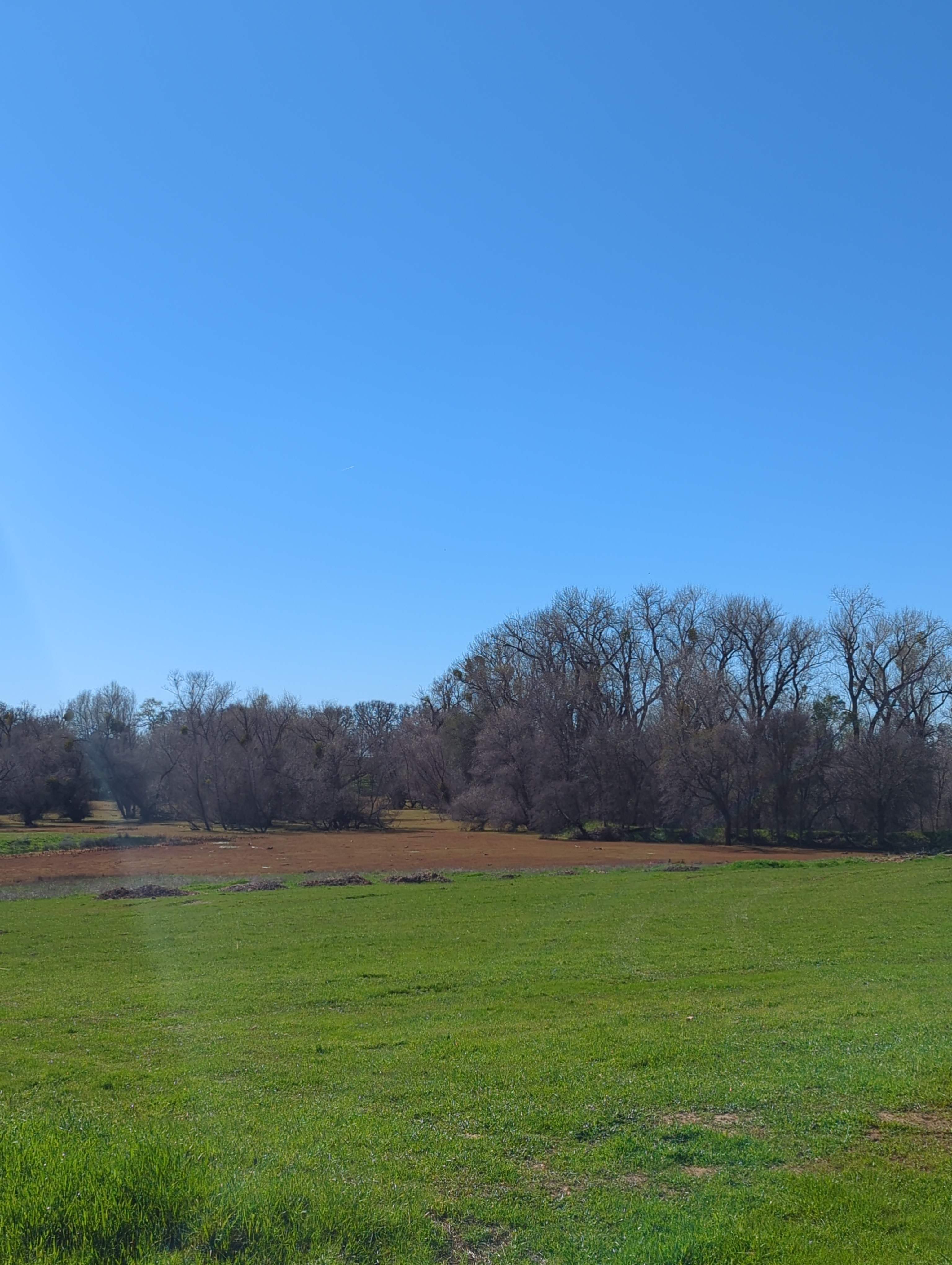 Blackhawk Ravine Campground